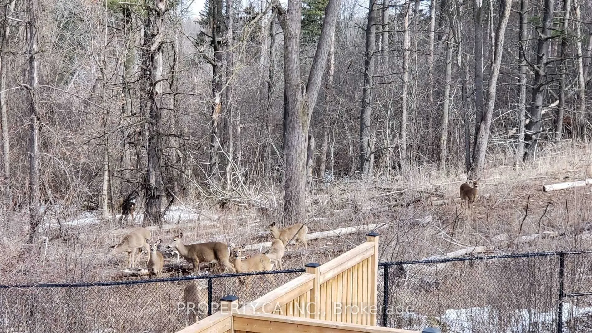 37 Upper Canada Court