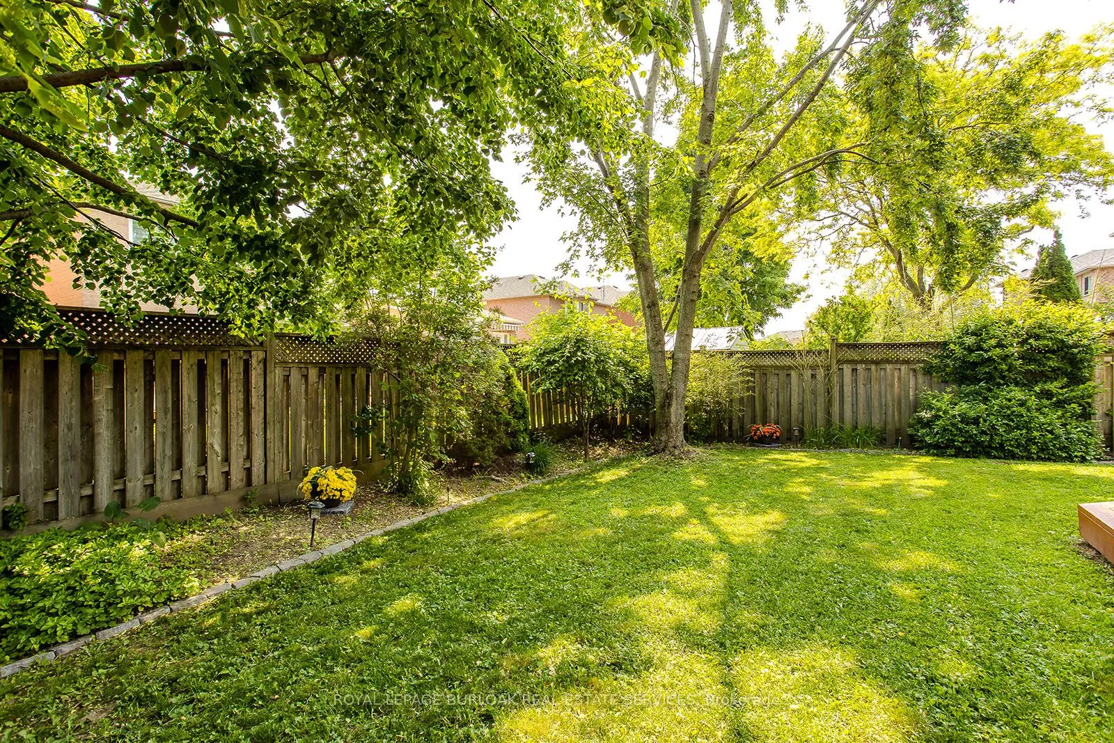 561 Phoebe Crescent
