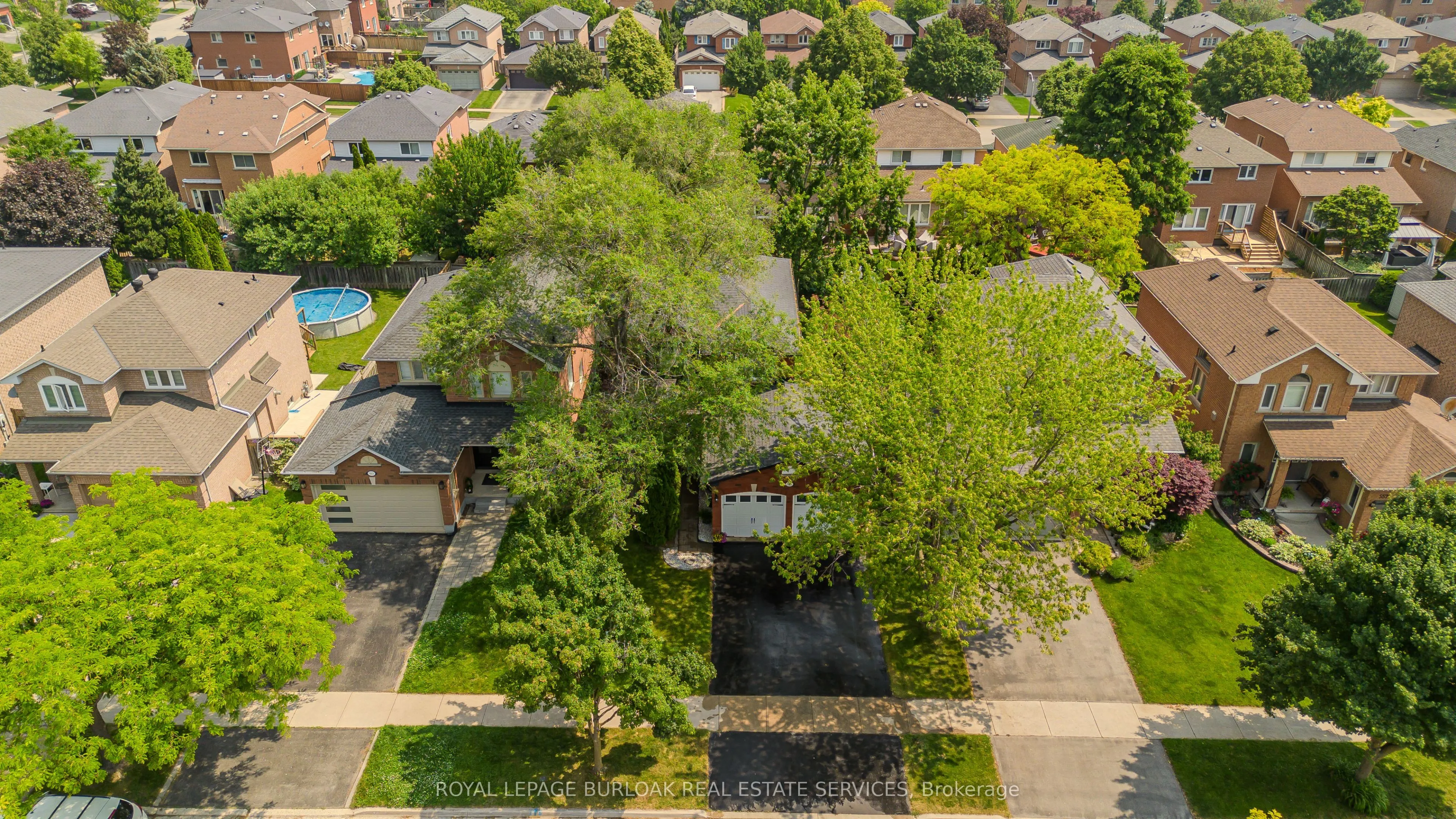 561 Phoebe Crescent