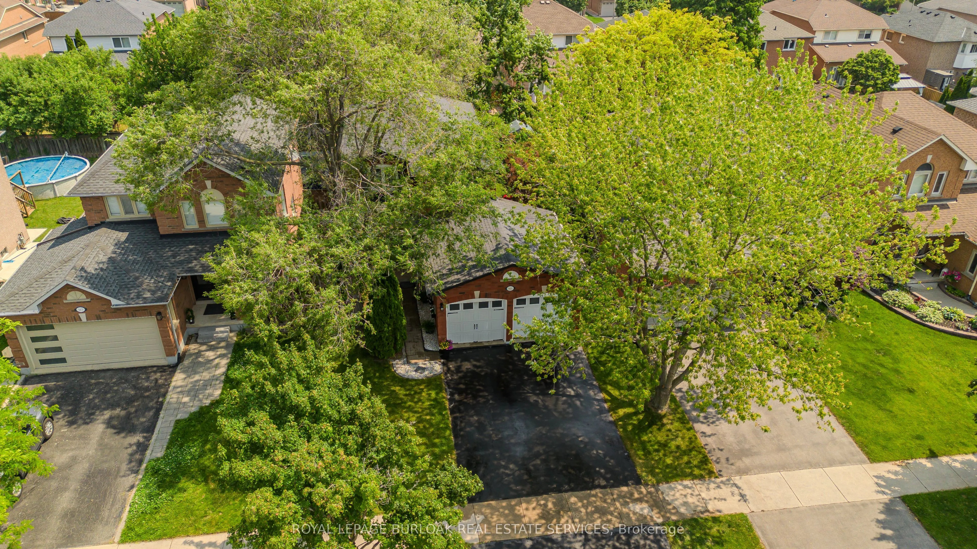 561 Phoebe Crescent