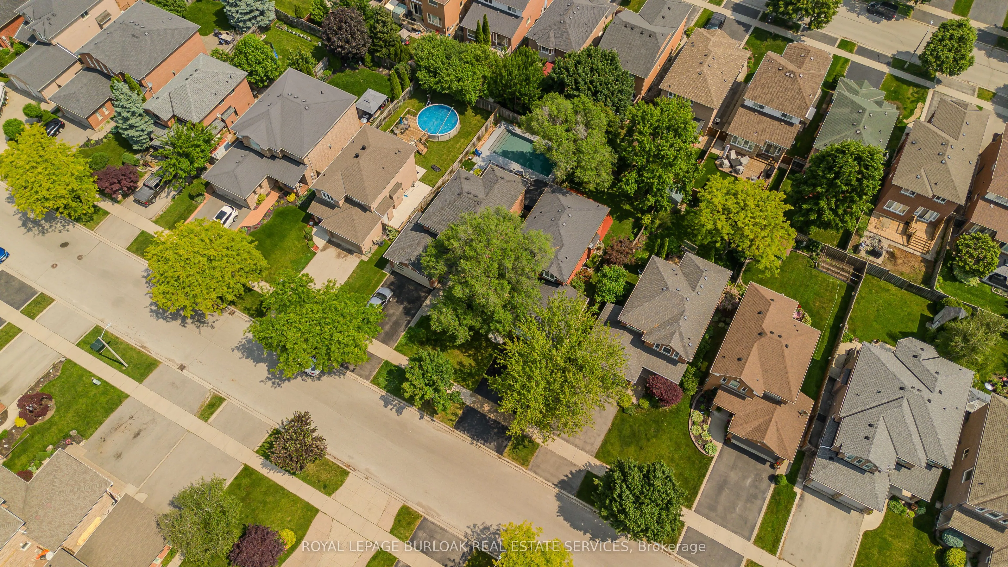 561 Phoebe Crescent
