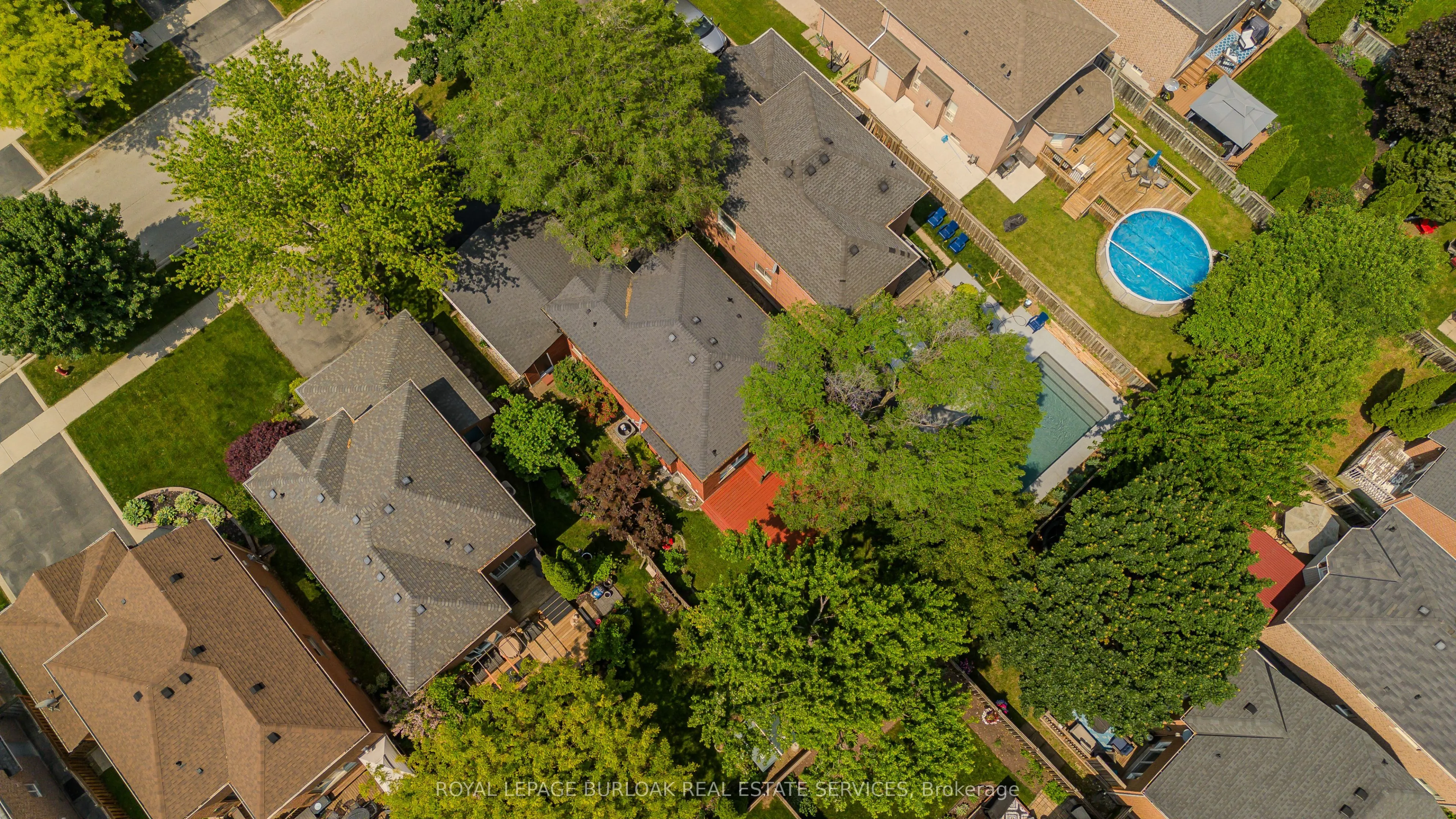 561 Phoebe Crescent
