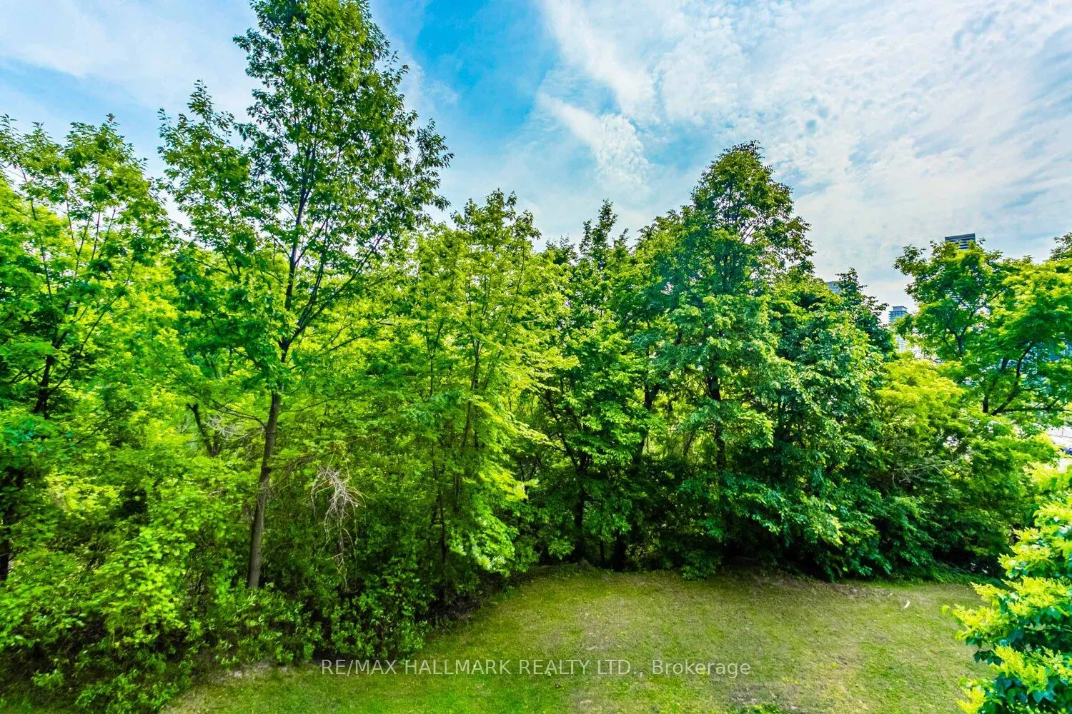 245 Dalesford Road, #115