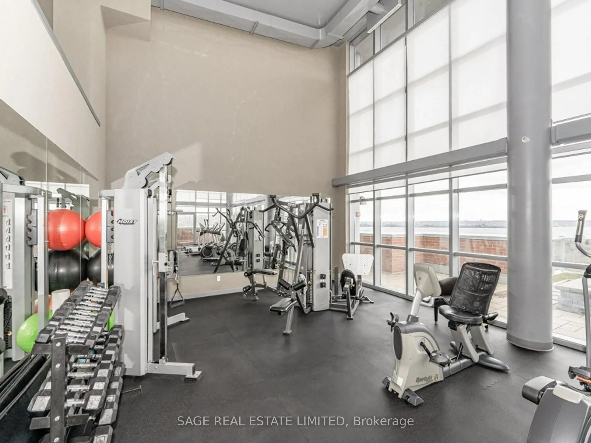 551 Maple Avenue, #304