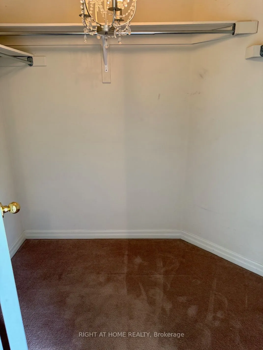 2499 Scotch Pine Drive