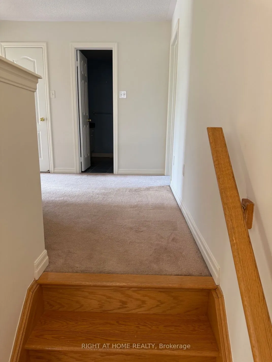 2499 Scotch Pine Drive