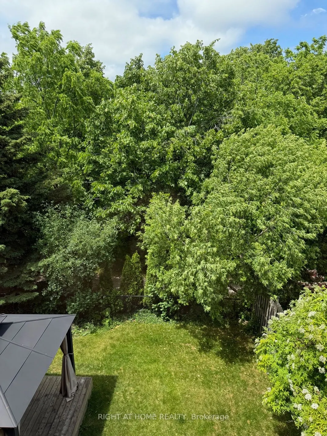 2499 Scotch Pine Drive