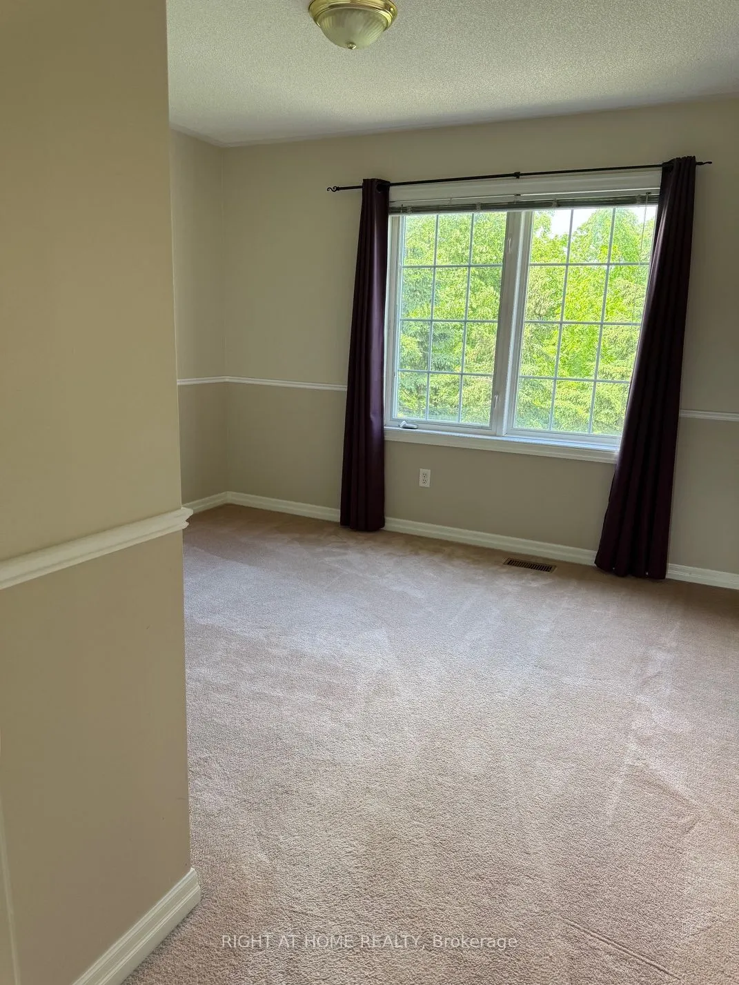 2499 Scotch Pine Drive