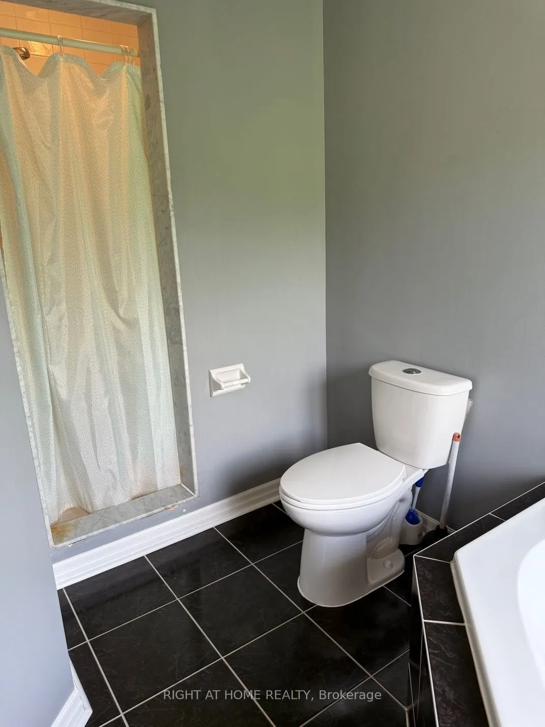 2499 Scotch Pine Drive