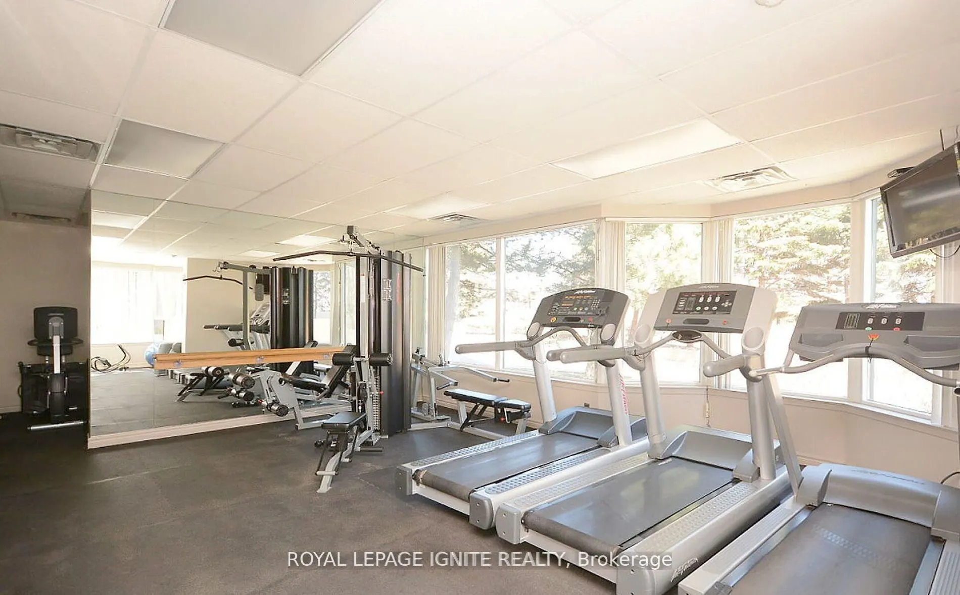 135 Hillcrest Avenue, #1104