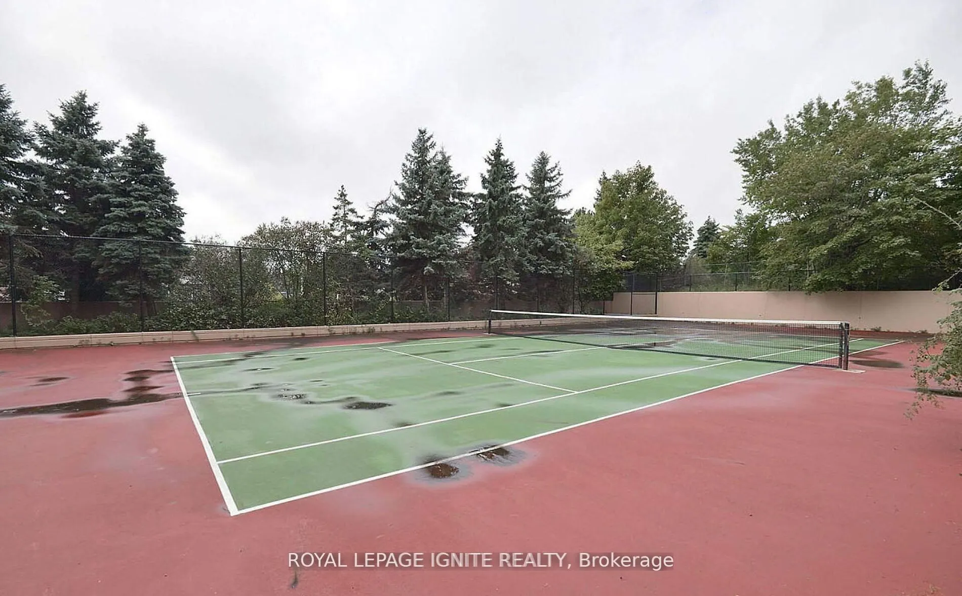 135 Hillcrest Avenue, #1104