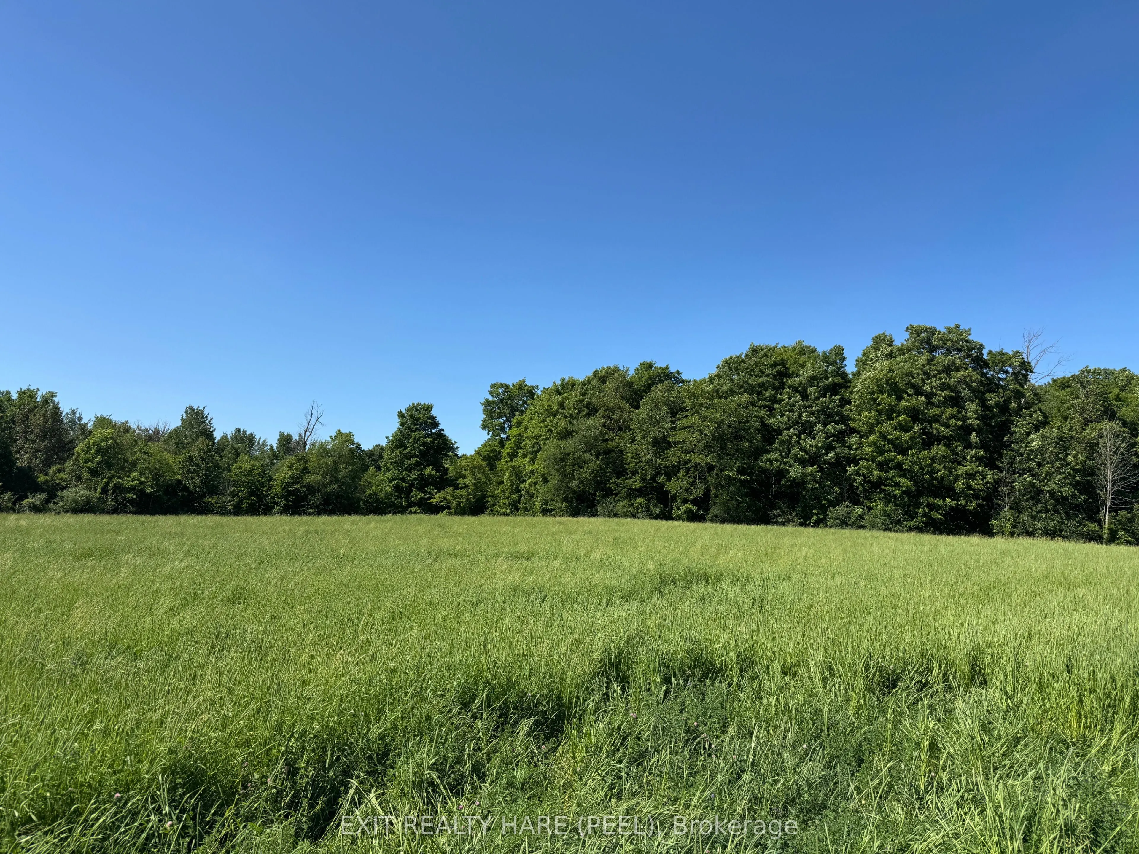 14165 Trafalgar Rd Road, #ON