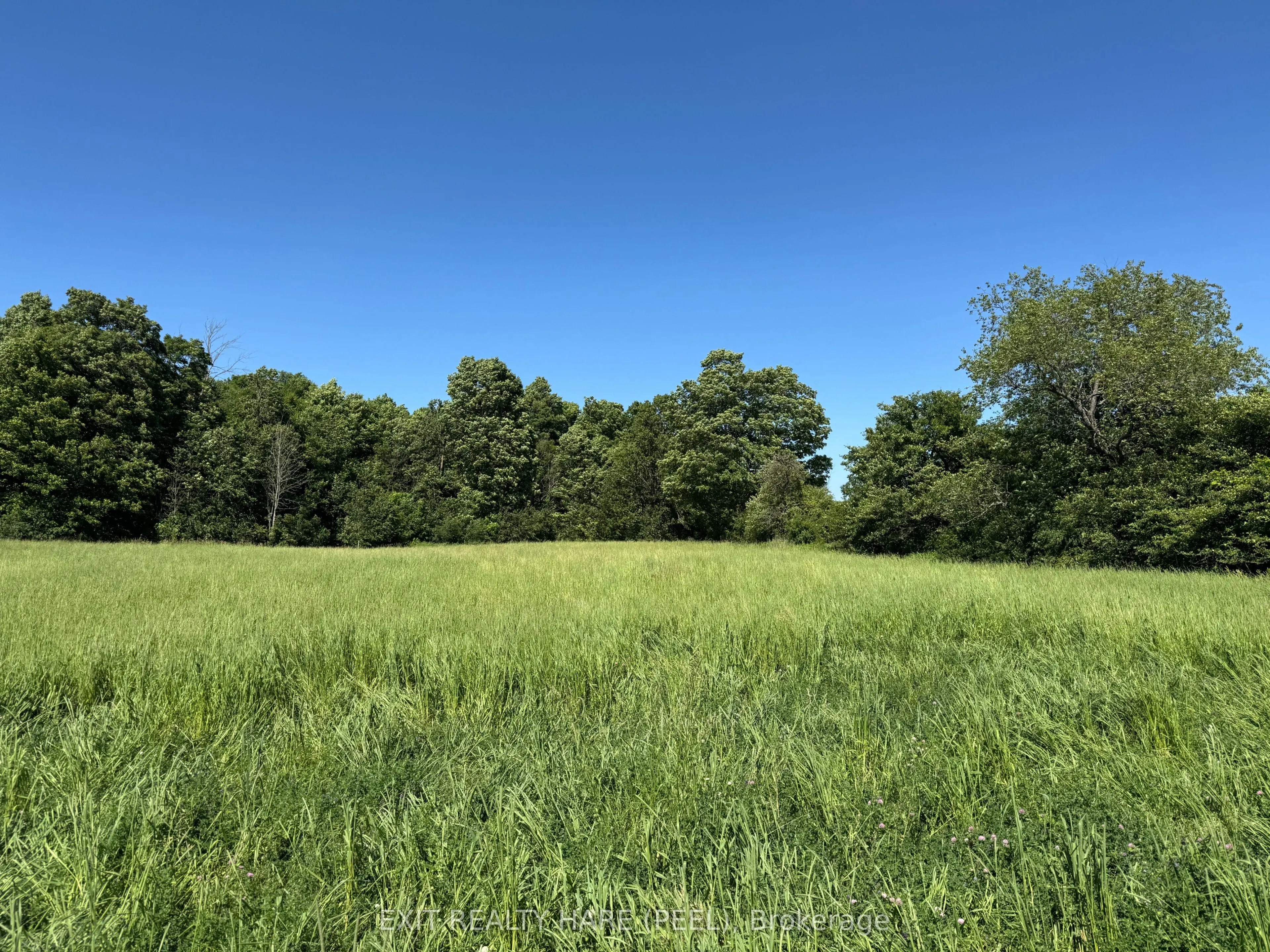 14165 Trafalgar Rd Road, #ON