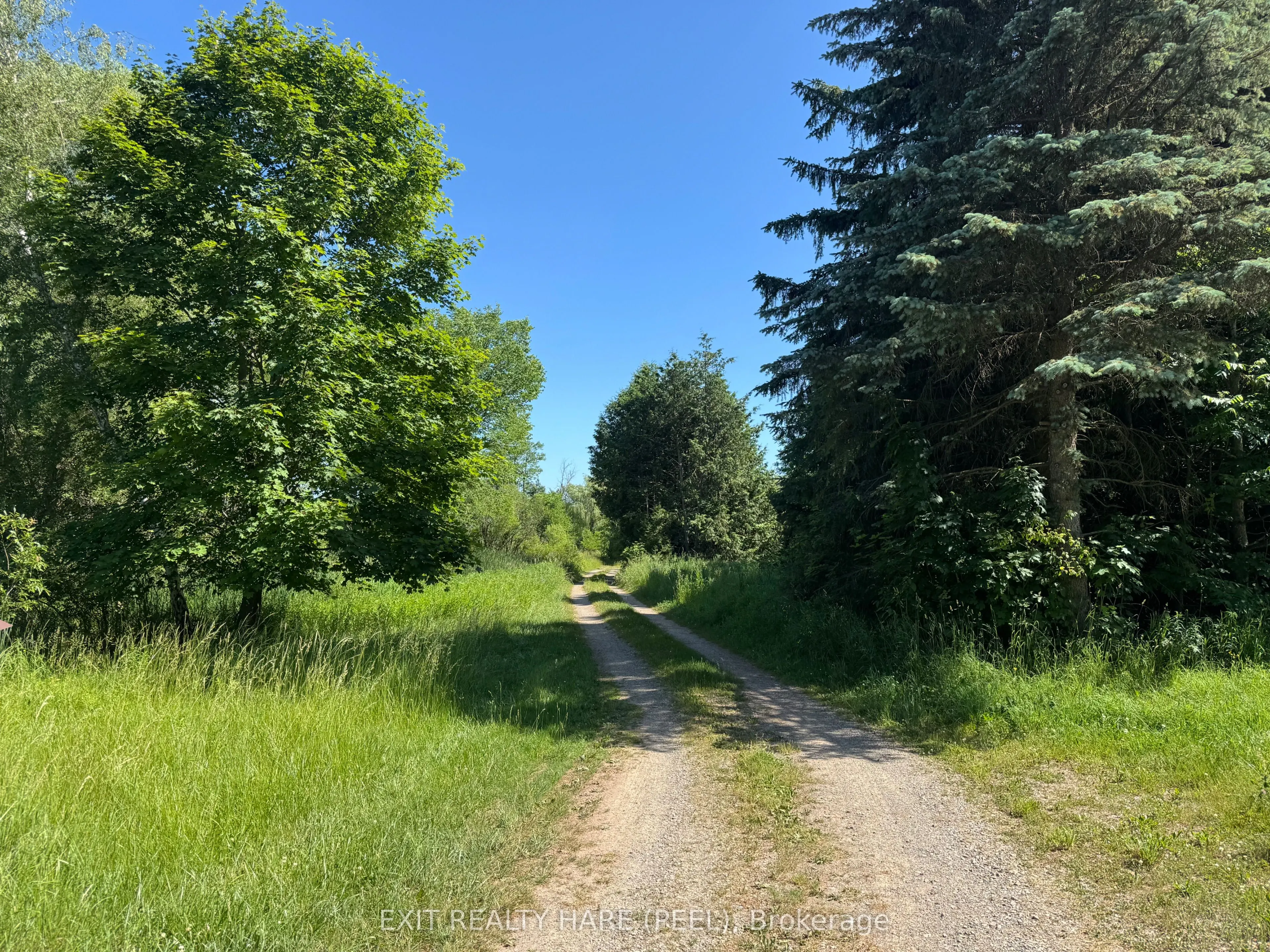14165 Trafalgar Rd Road, #ON