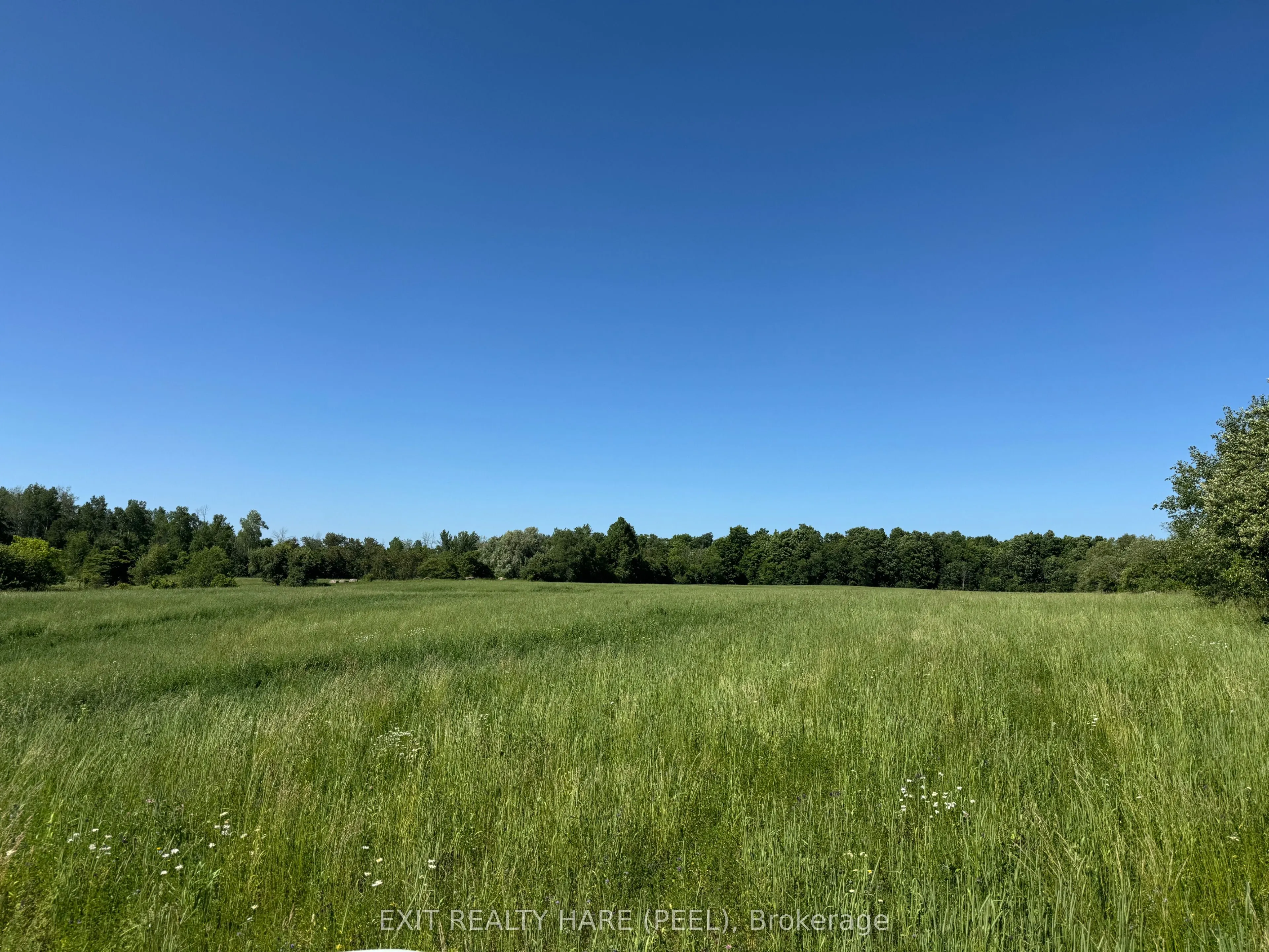 14165 Trafalgar Rd Road, #ON