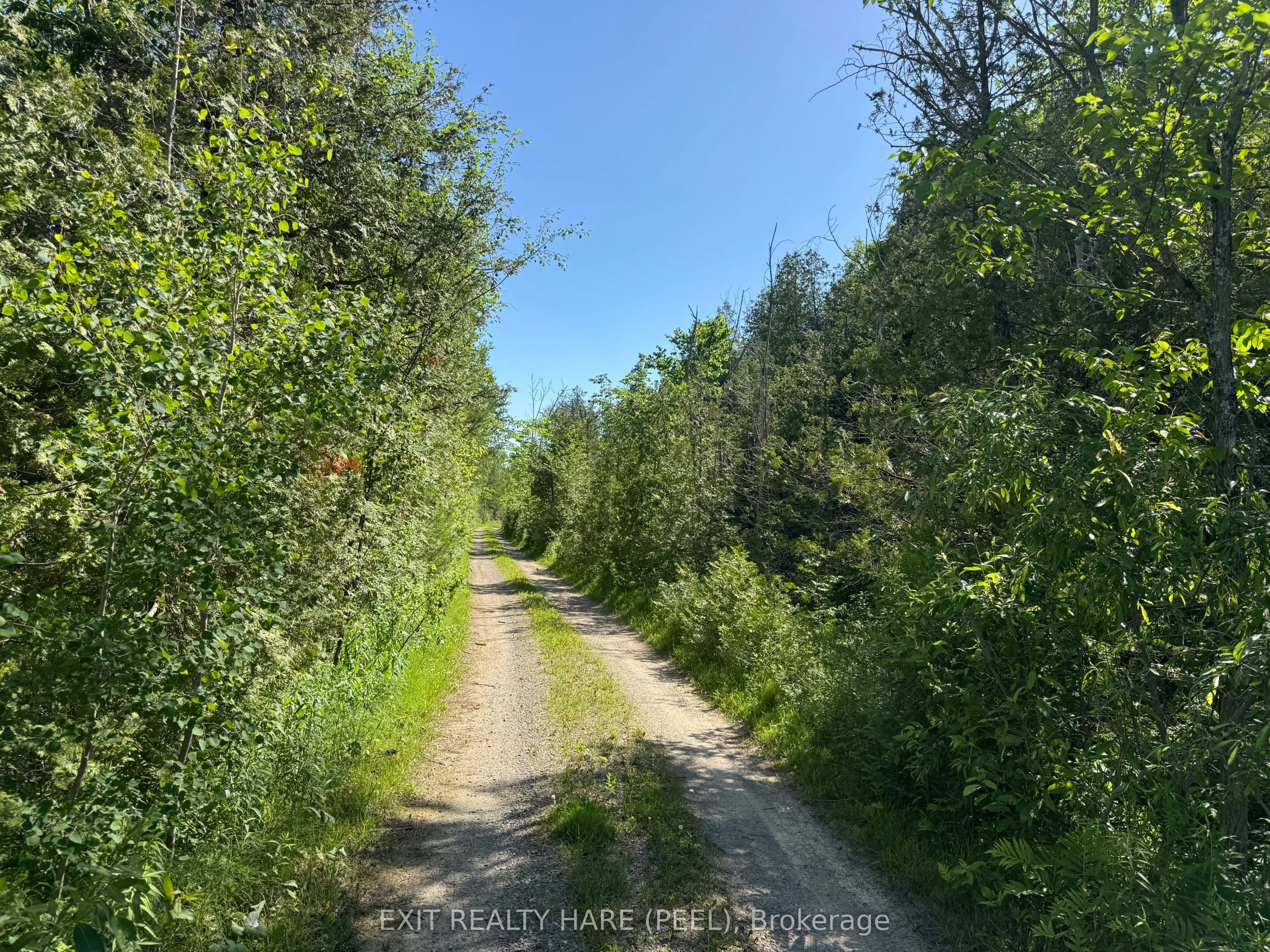 14165 Trafalgar Rd Road, #ON