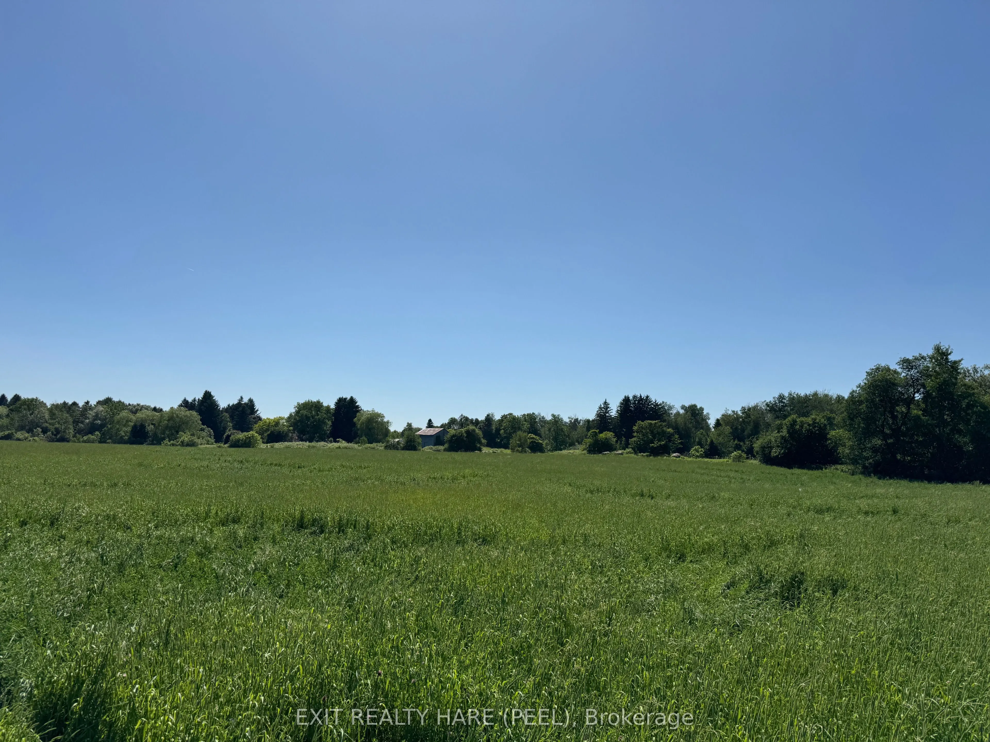 14165 Trafalgar Rd Road, #ON