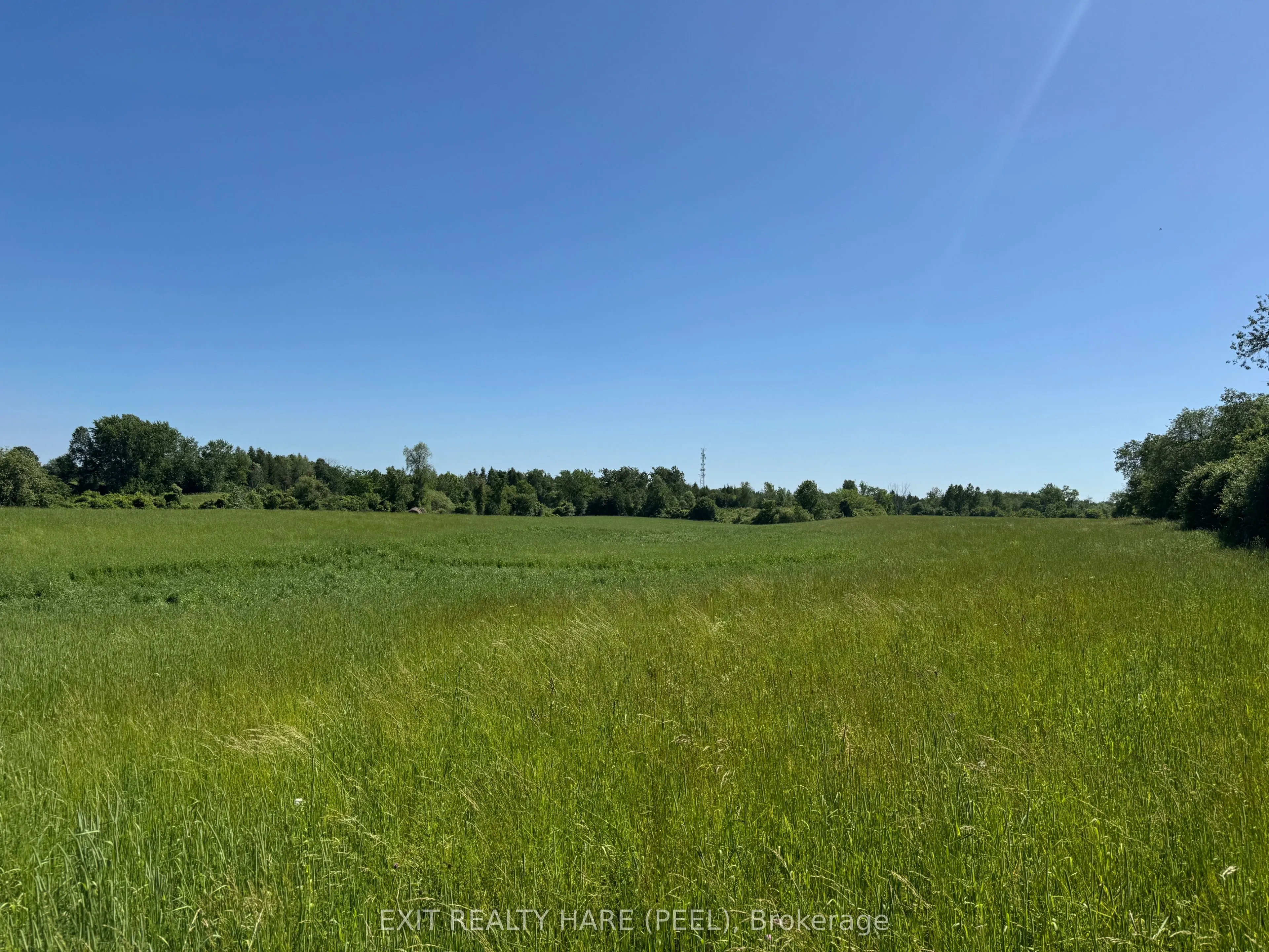 14165 Trafalgar Rd Road, #ON