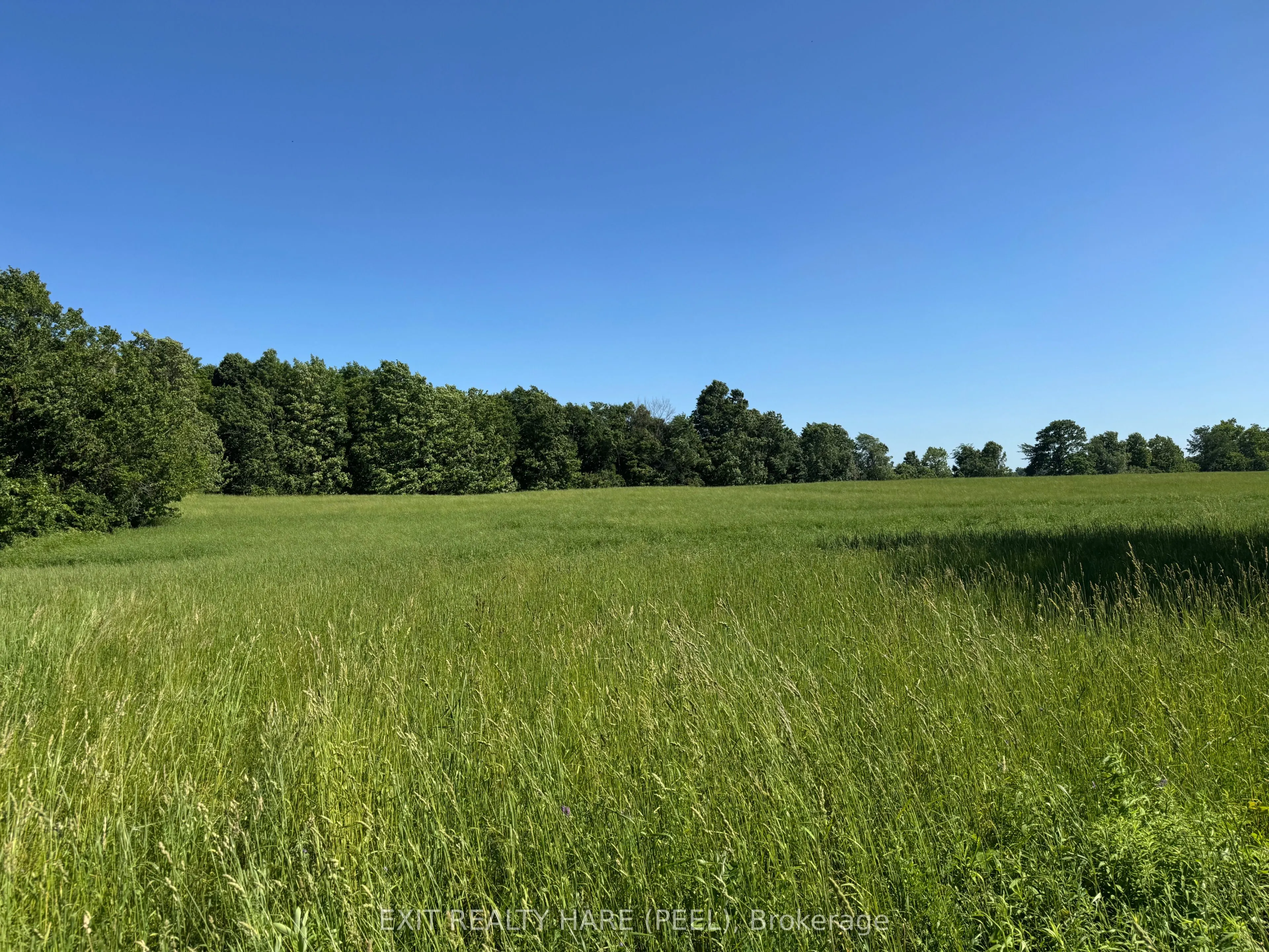 14165 Trafalgar Rd Road, #ON