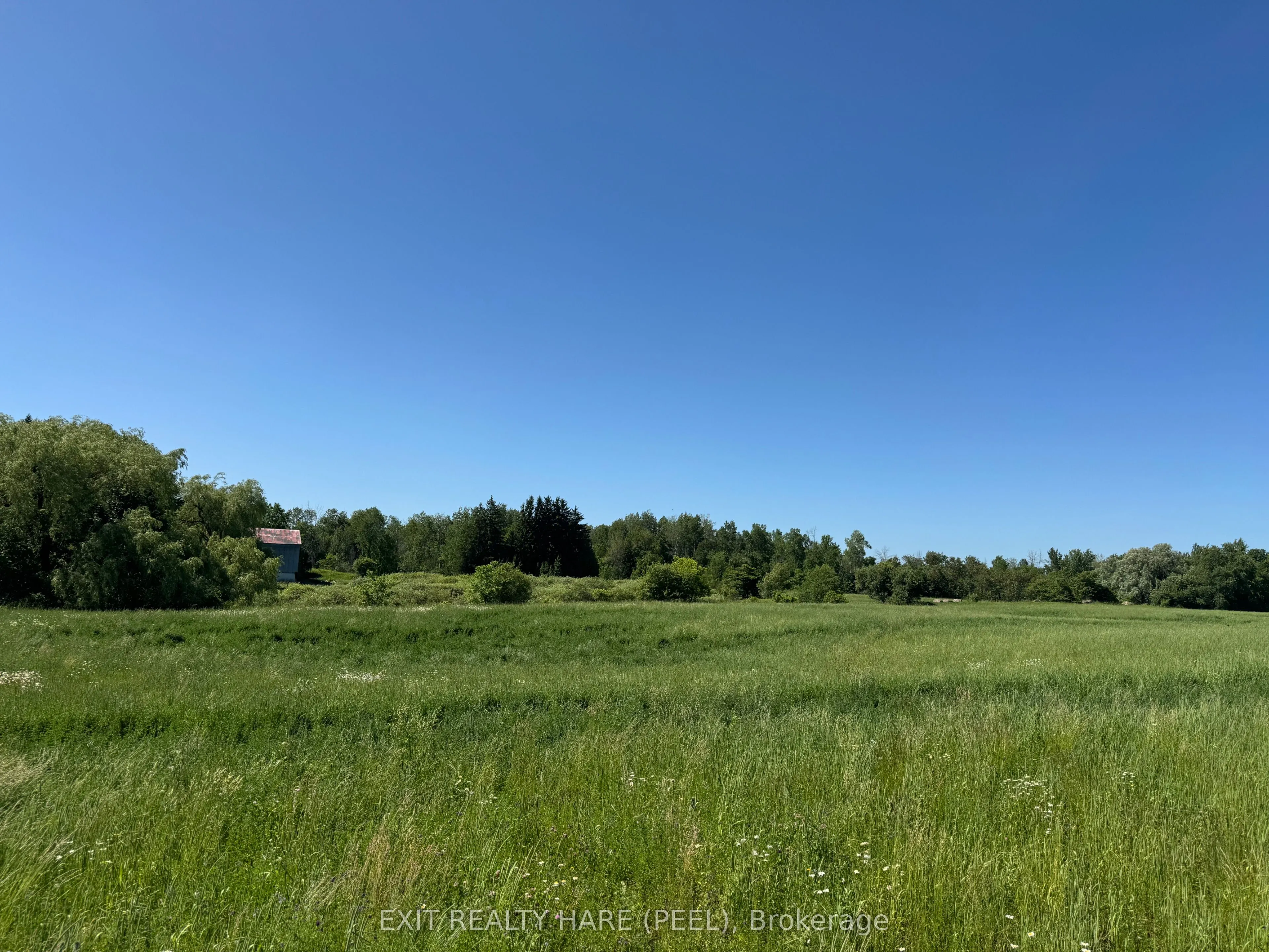 14165 Trafalgar Rd Road, #ON