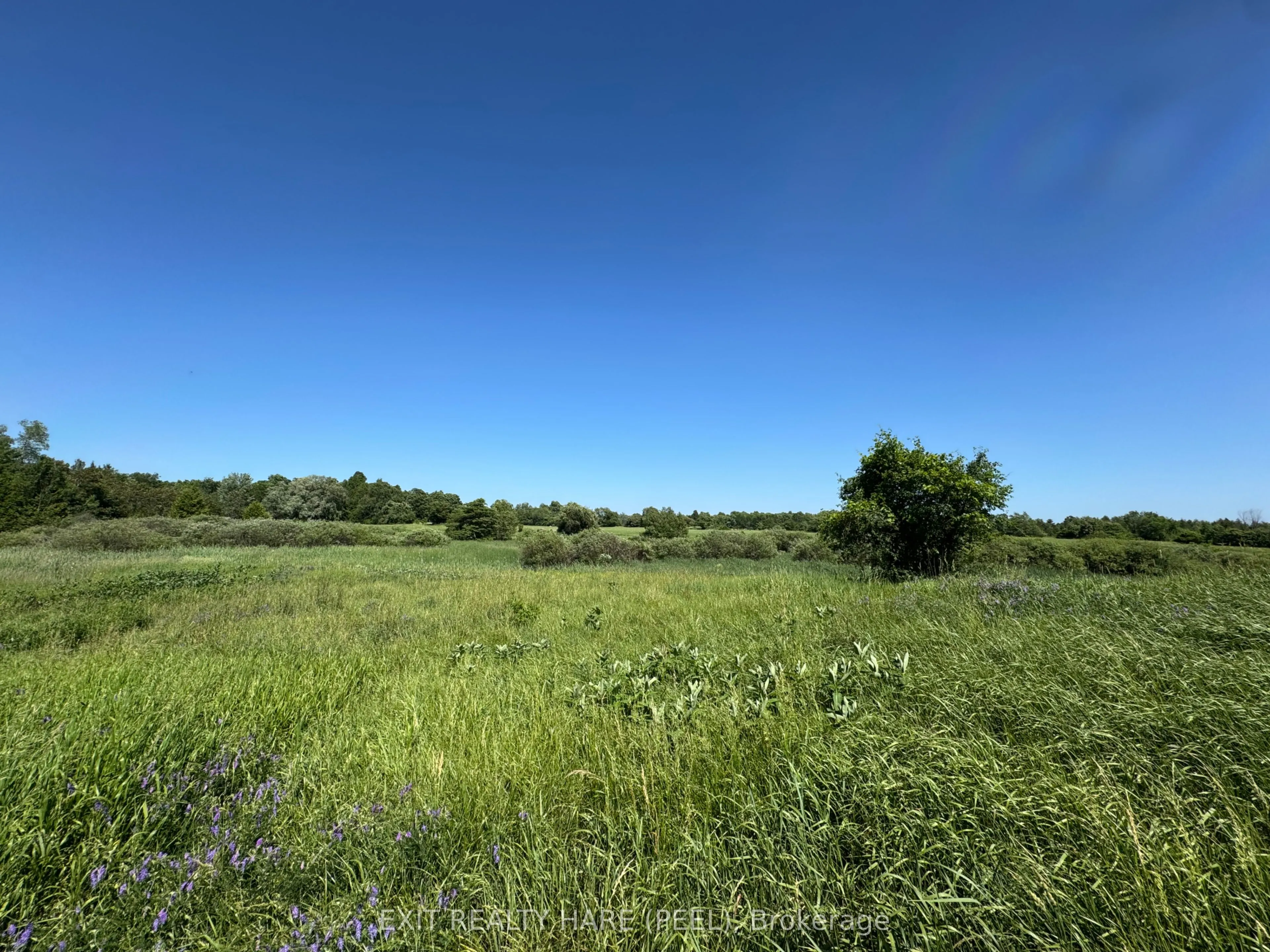 14165 Trafalgar Rd Road, #ON