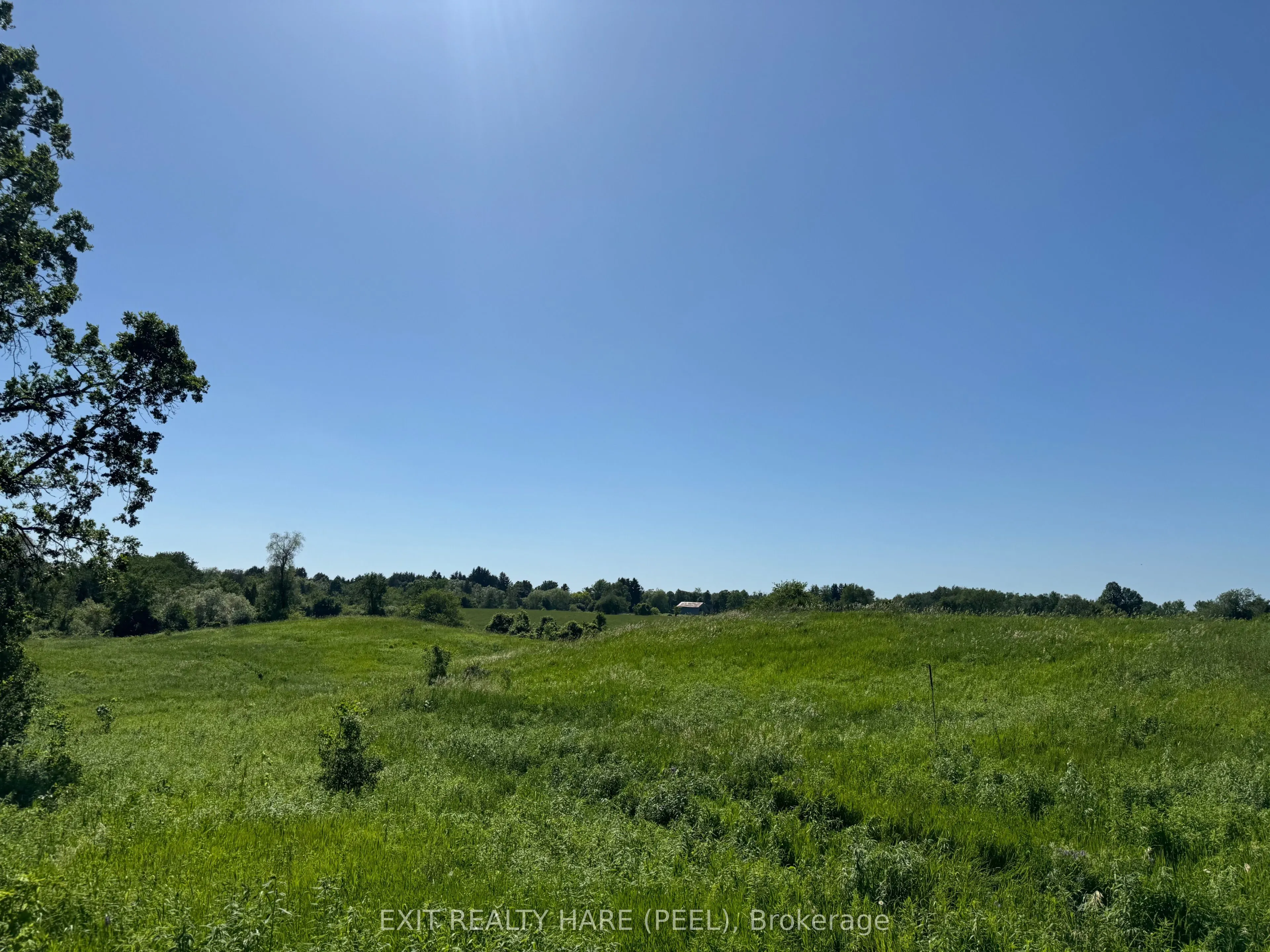 14165 Trafalgar Rd Road, #ON