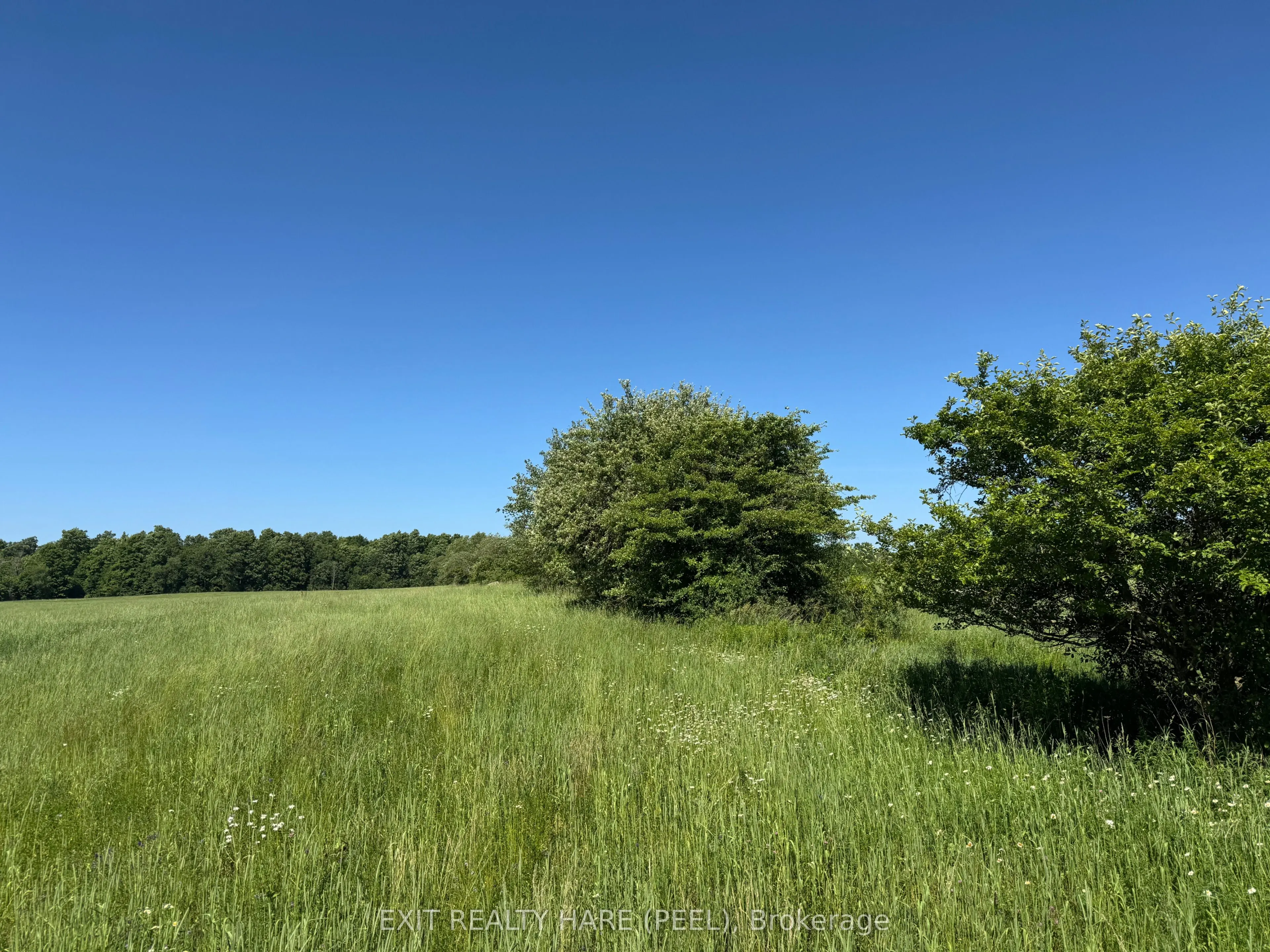 14165 Trafalgar Rd Road, #ON