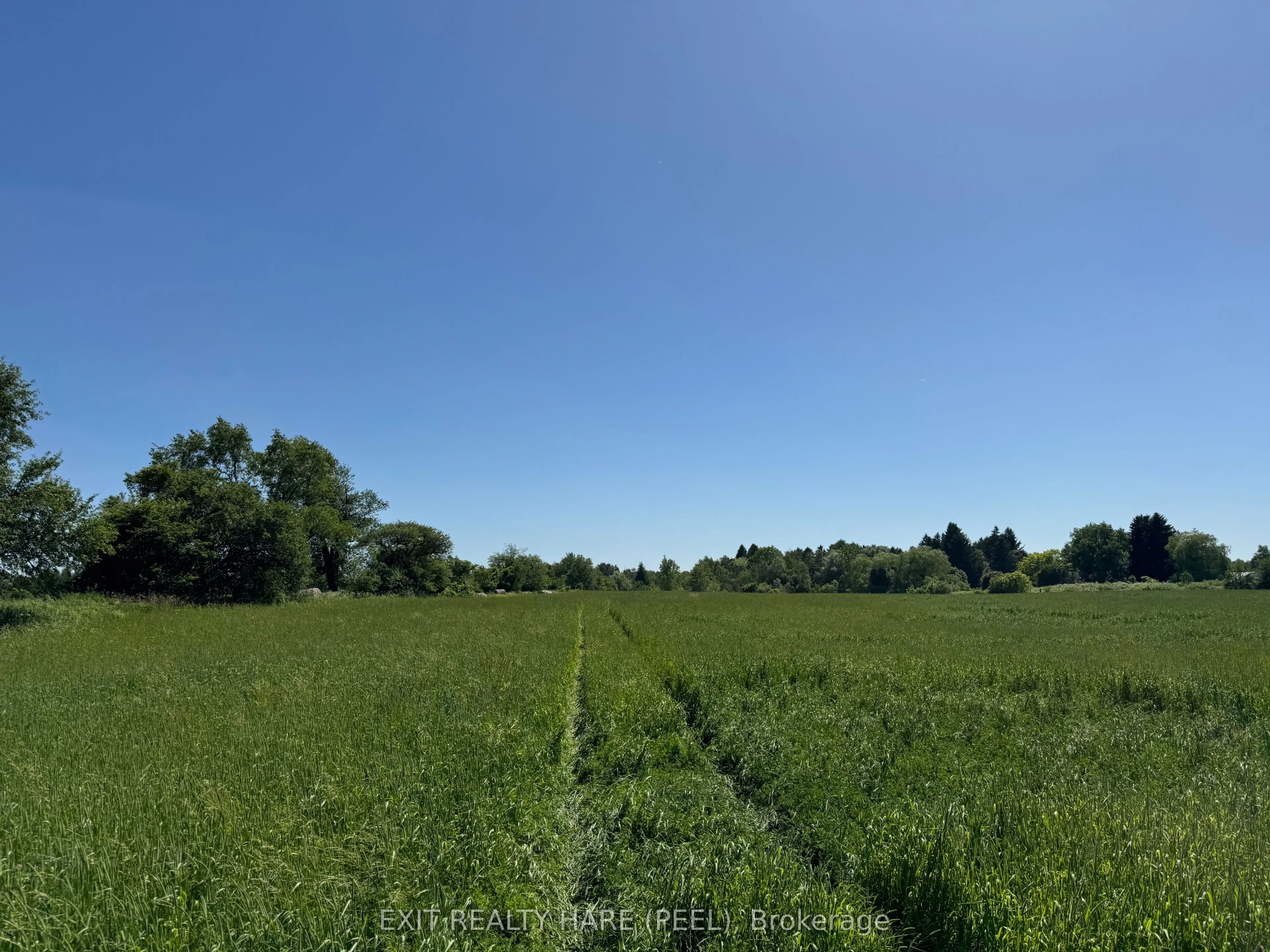 14165 Trafalgar Rd Road, #ON