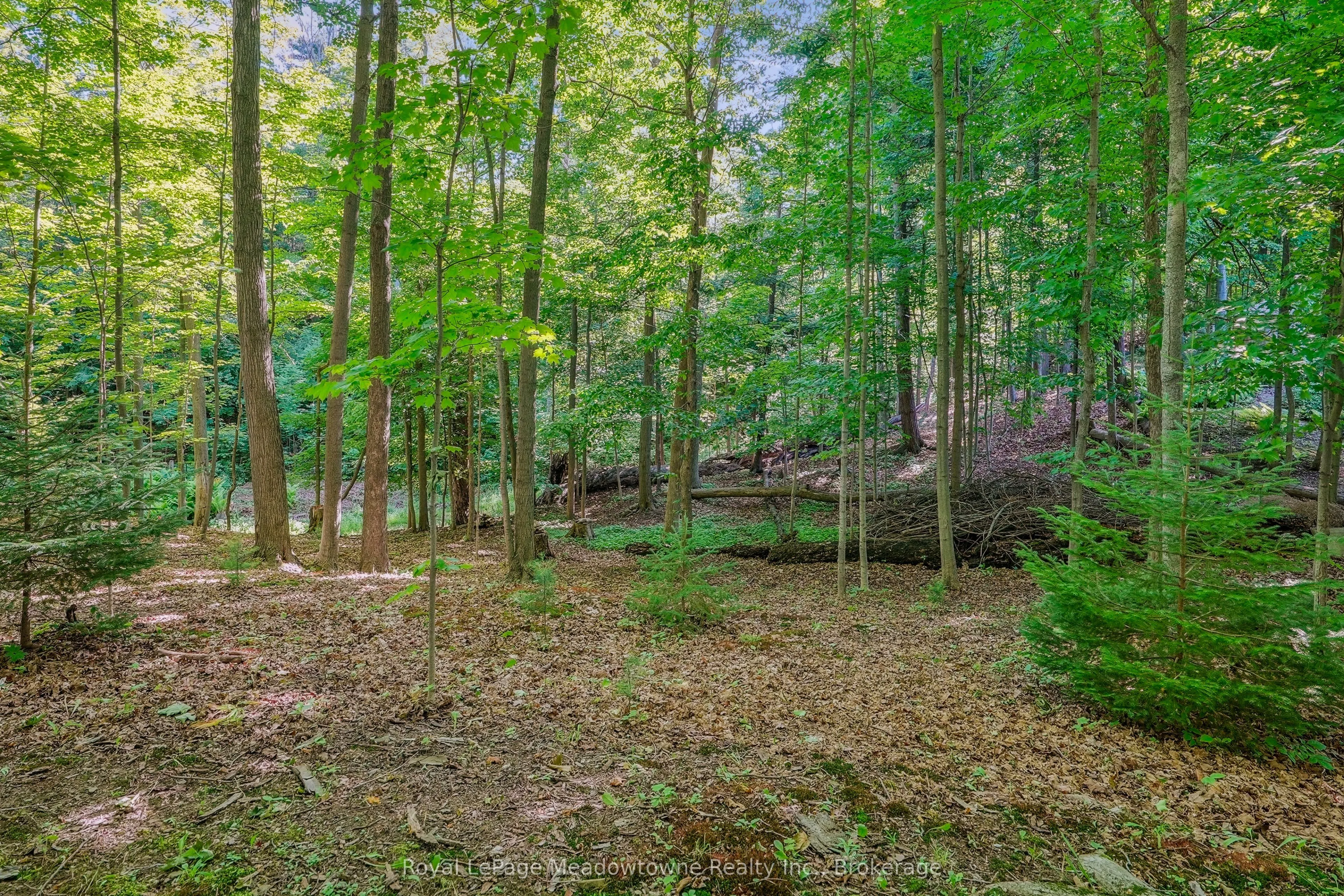 9878 15 Side Road