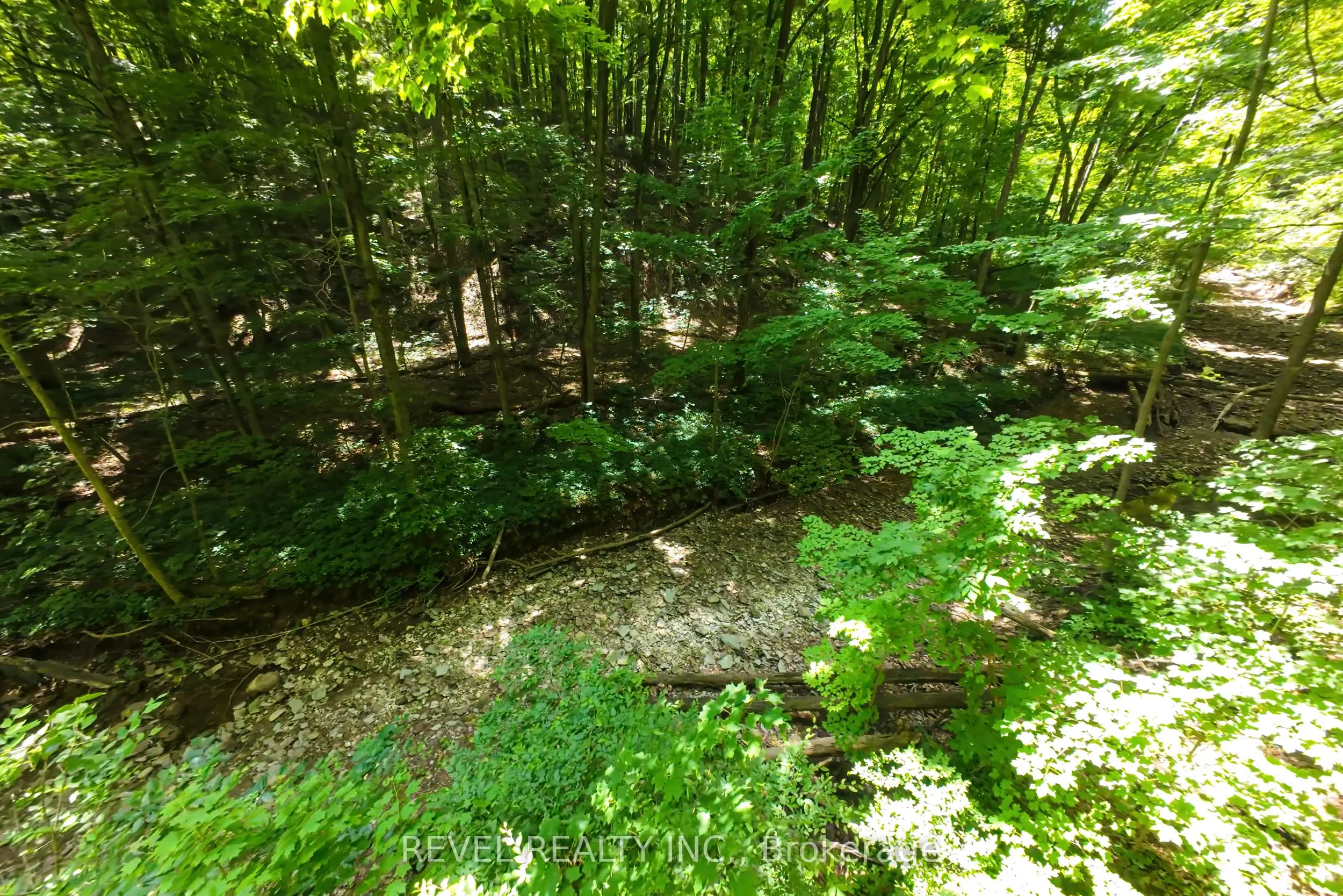 2156 Lower Base Line