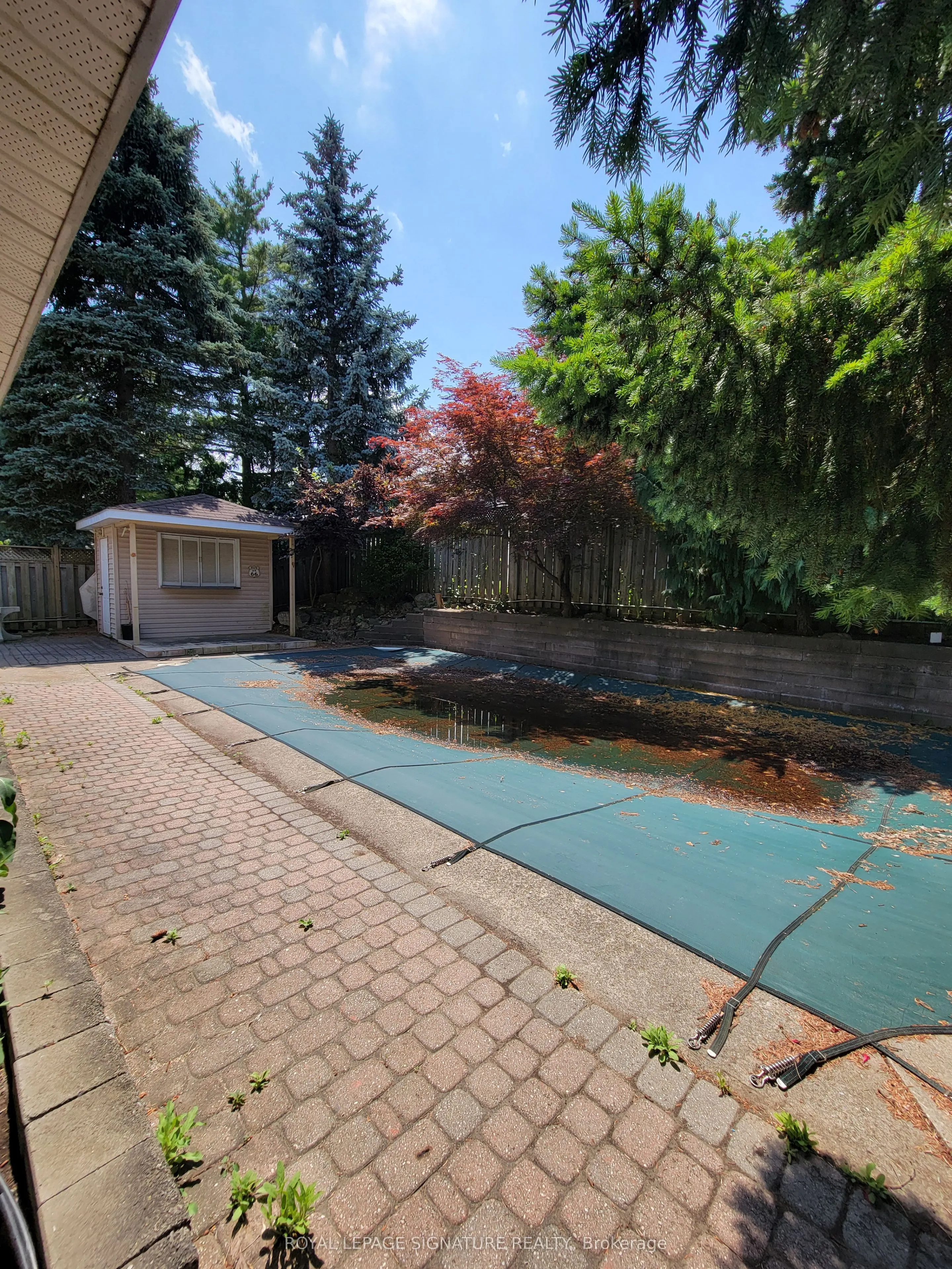 6800 Segovia Road