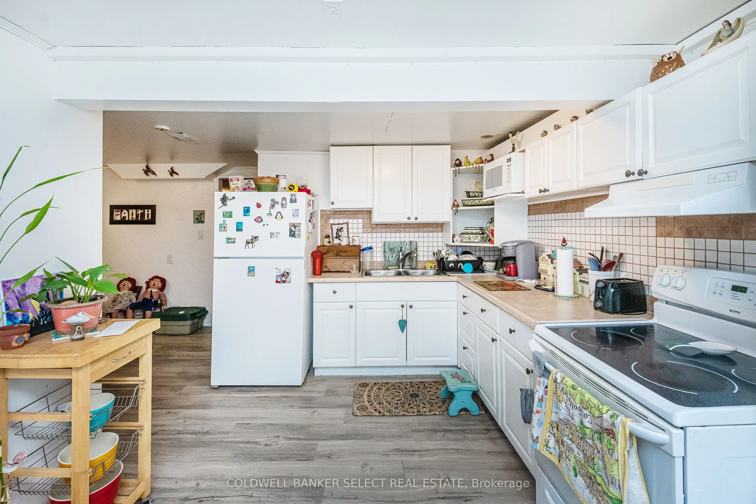 296 Whitehead Crescent