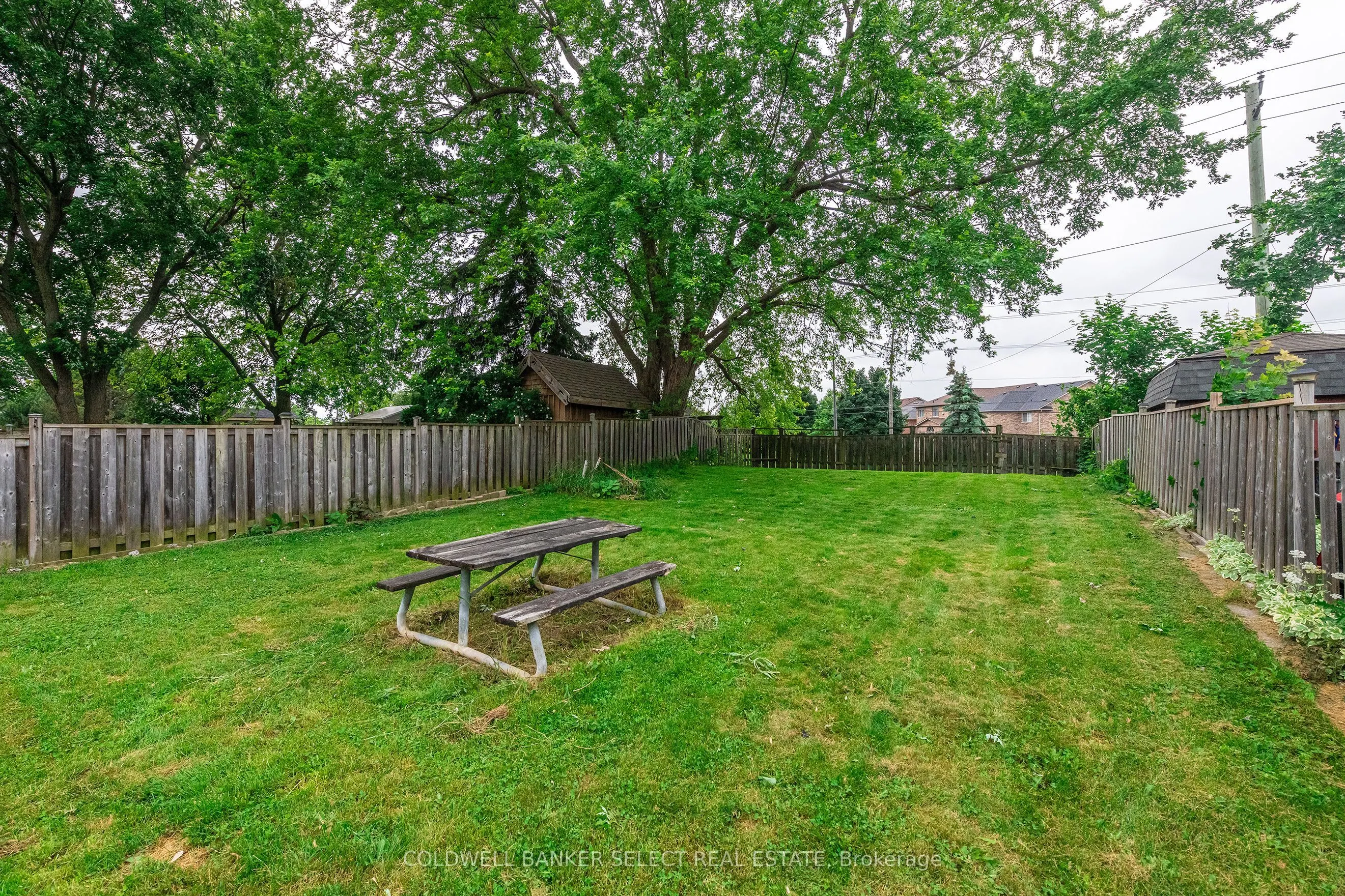 296 Whitehead Crescent