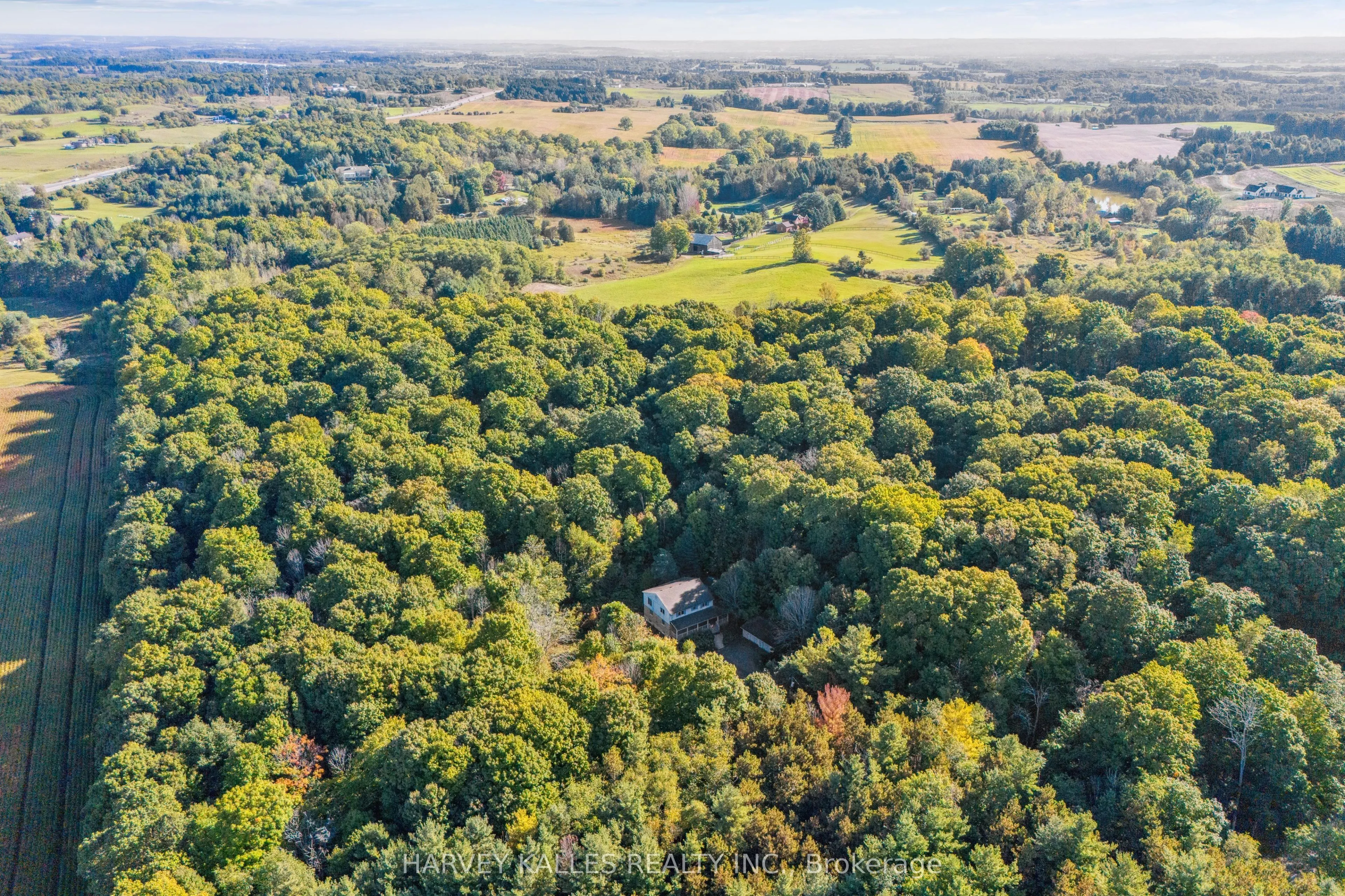 16771 Albion Trail