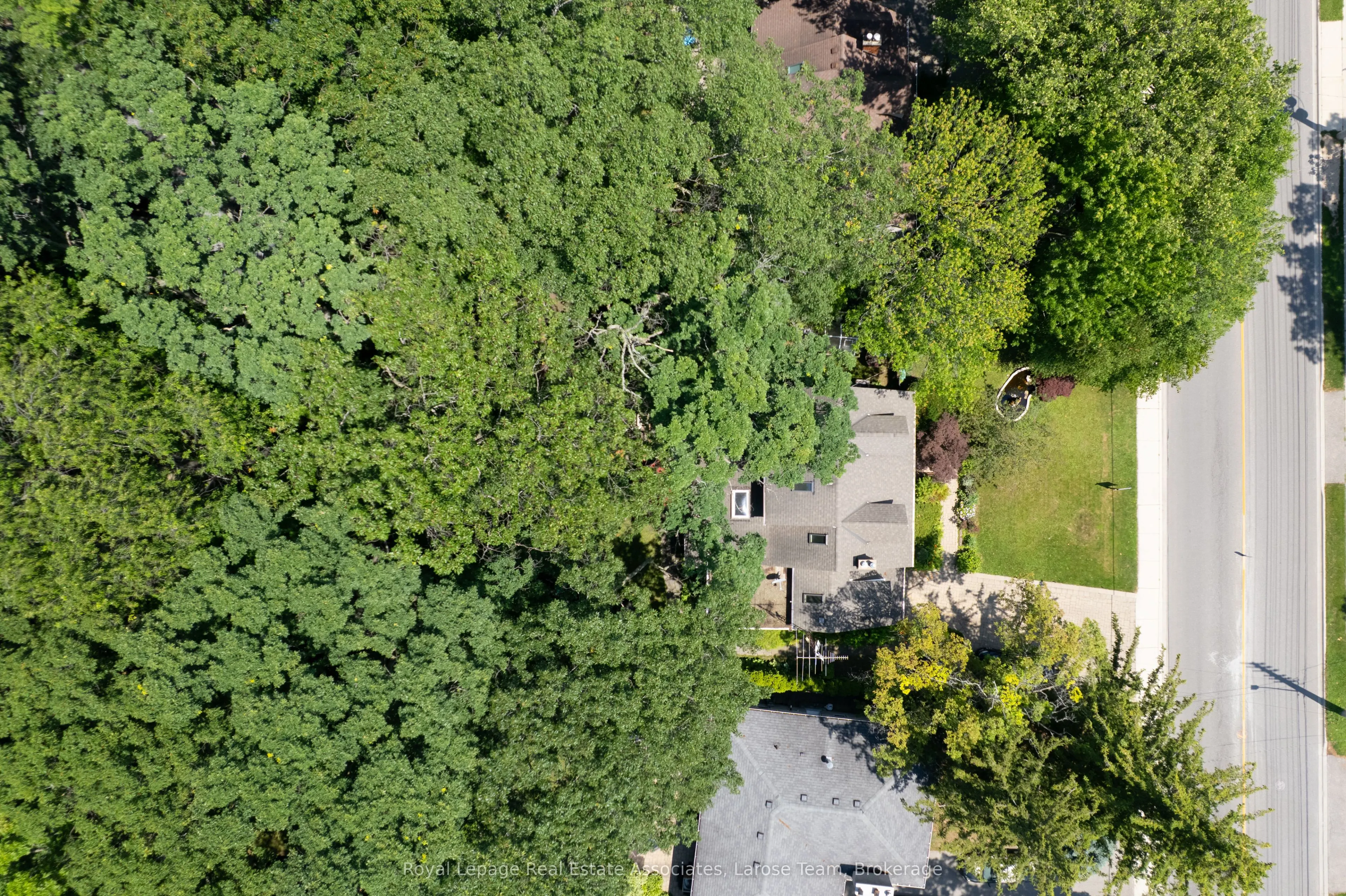 101 Mineola Road E