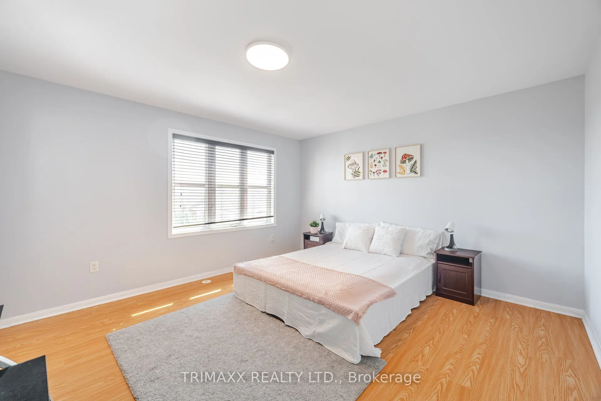 638 Scott Boulevard