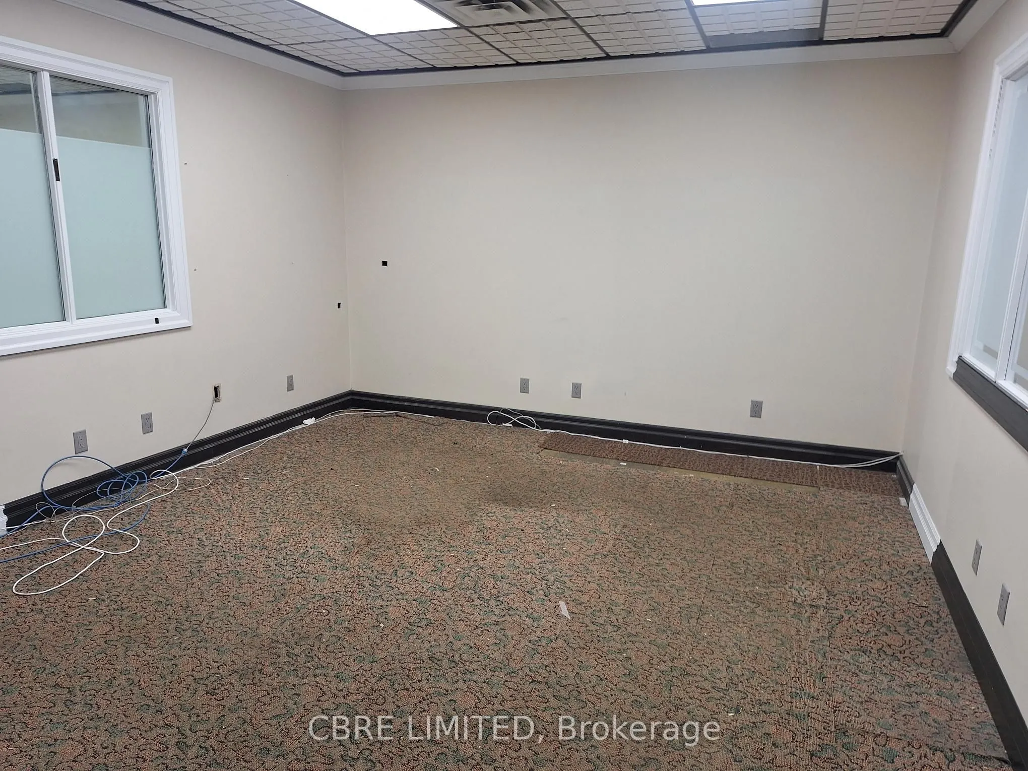 244 Brockport Drive, #8
