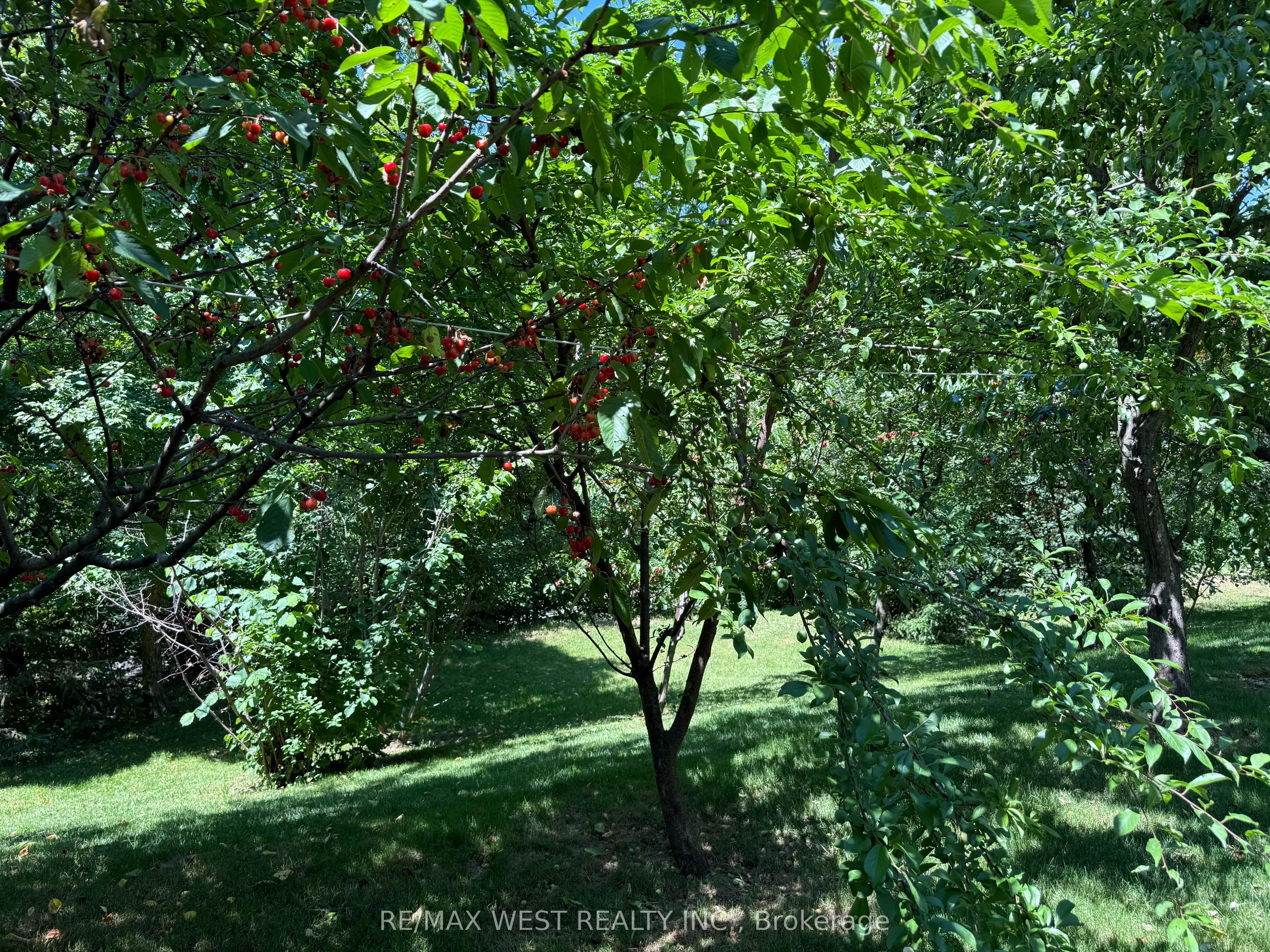 4256 Petersburg Crescent