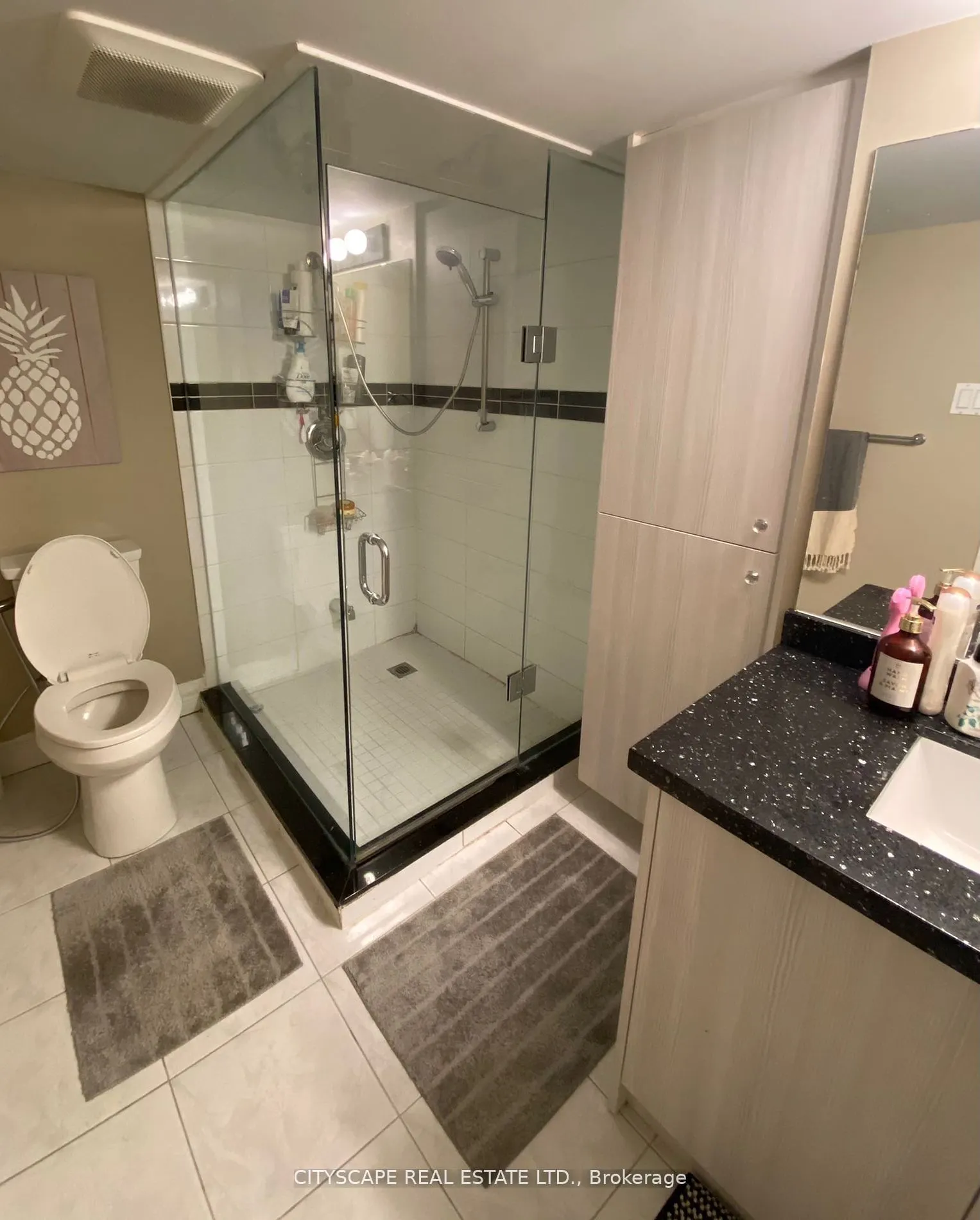 1445 Daniel Creek Road, #Bsmt