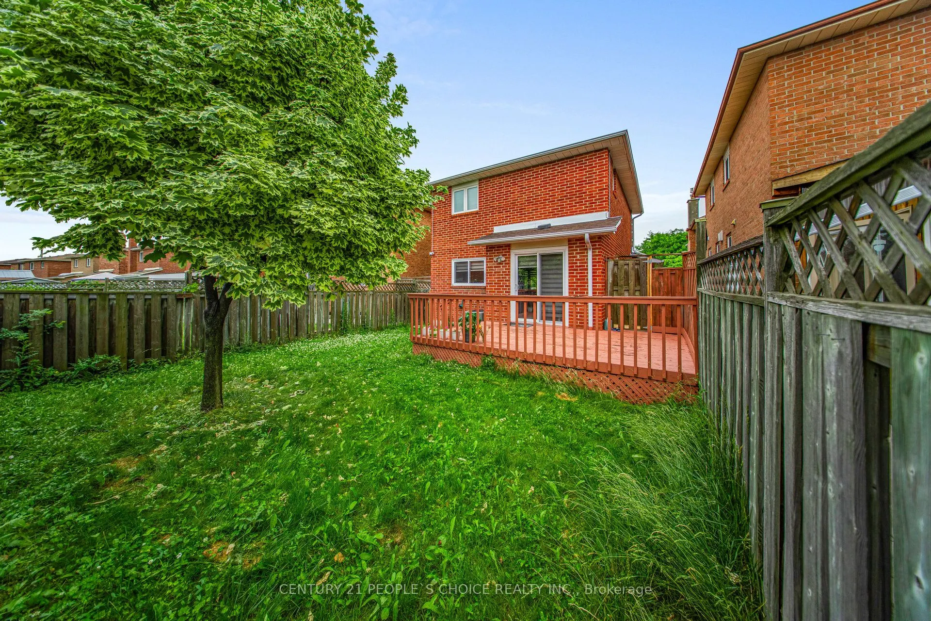 31 Dorking Drive