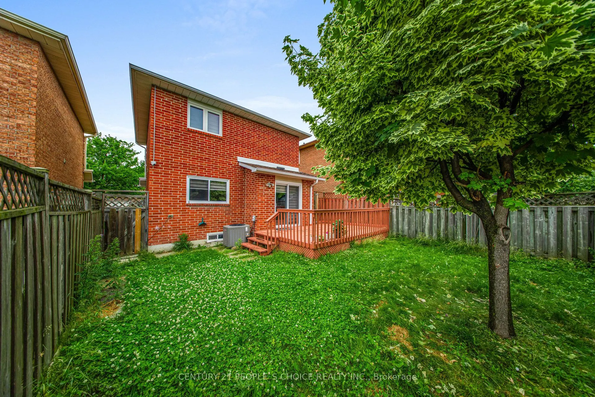 31 Dorking Drive