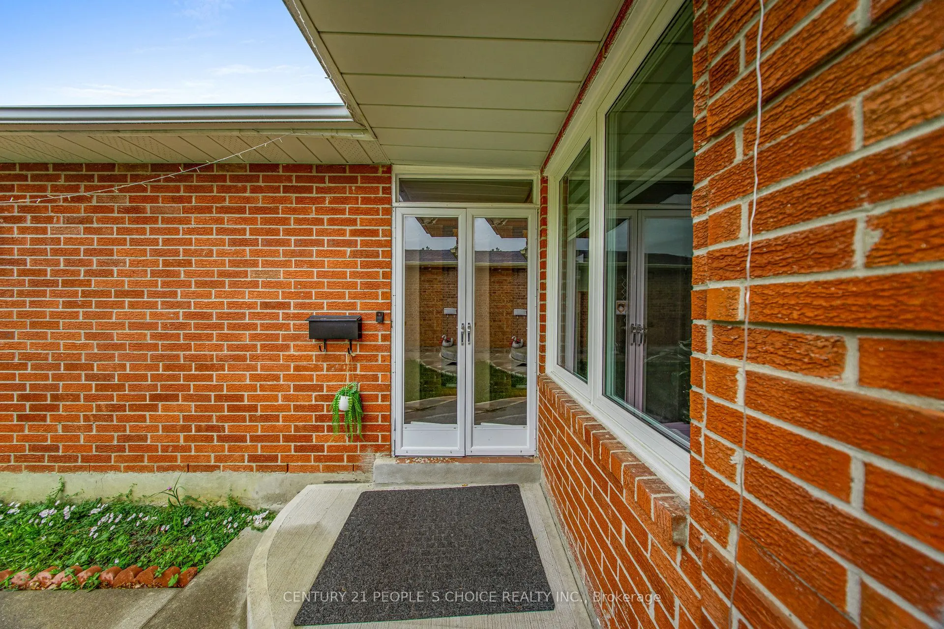 31 Dorking Drive