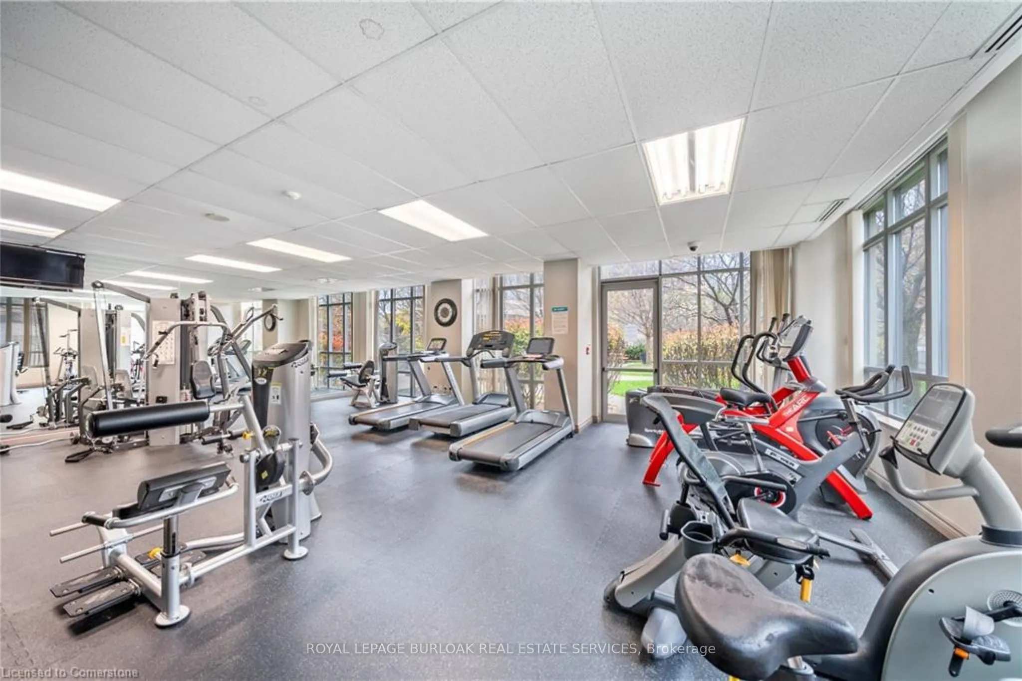 156 Enfield Place, #808