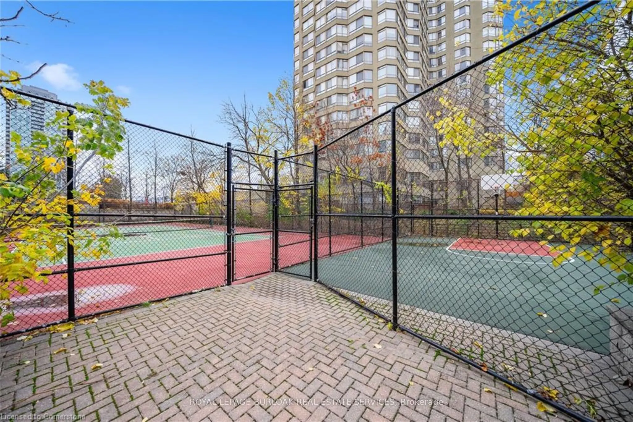 156 Enfield Place, #808