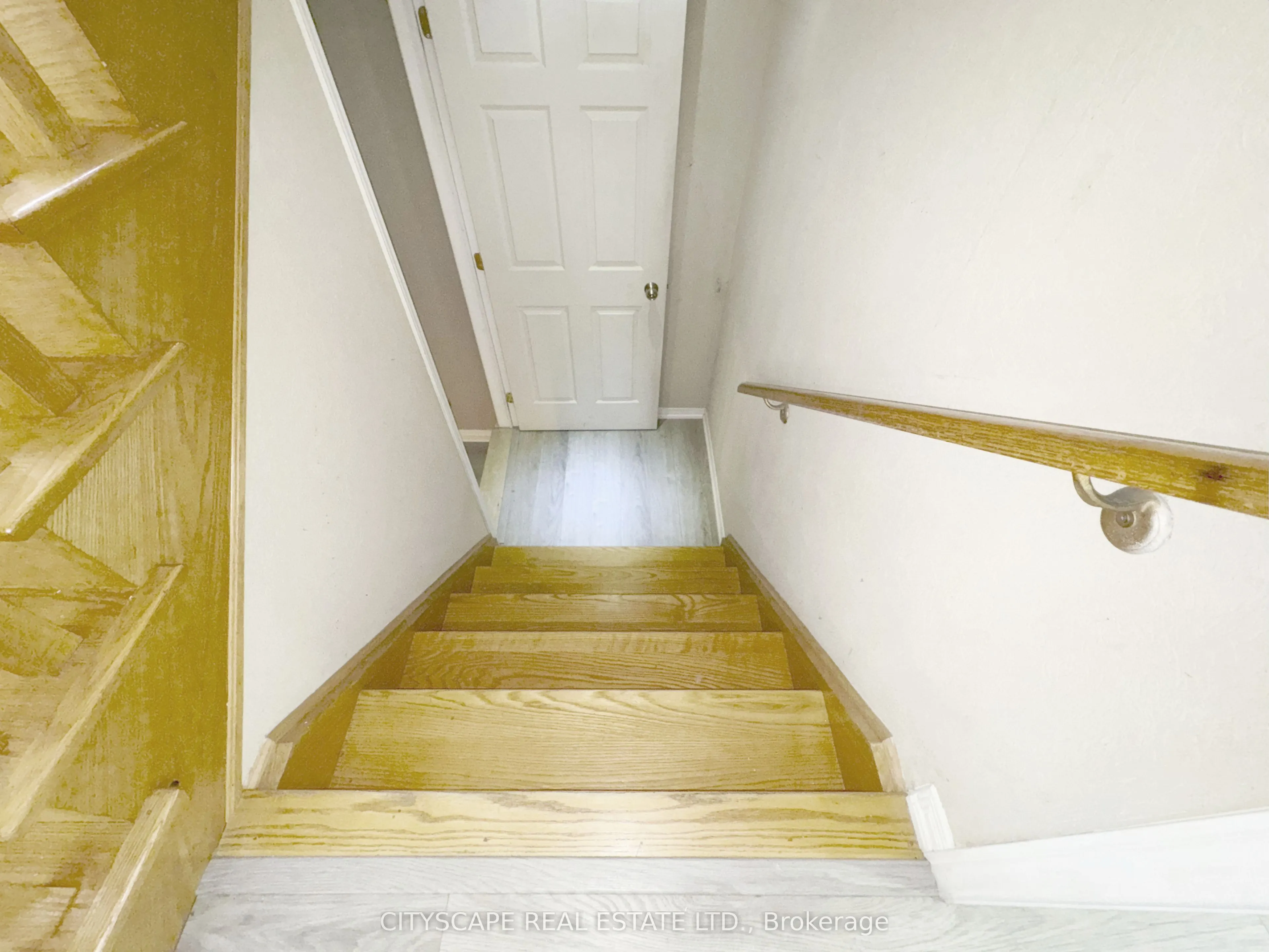 3310 Crimson King Circle
