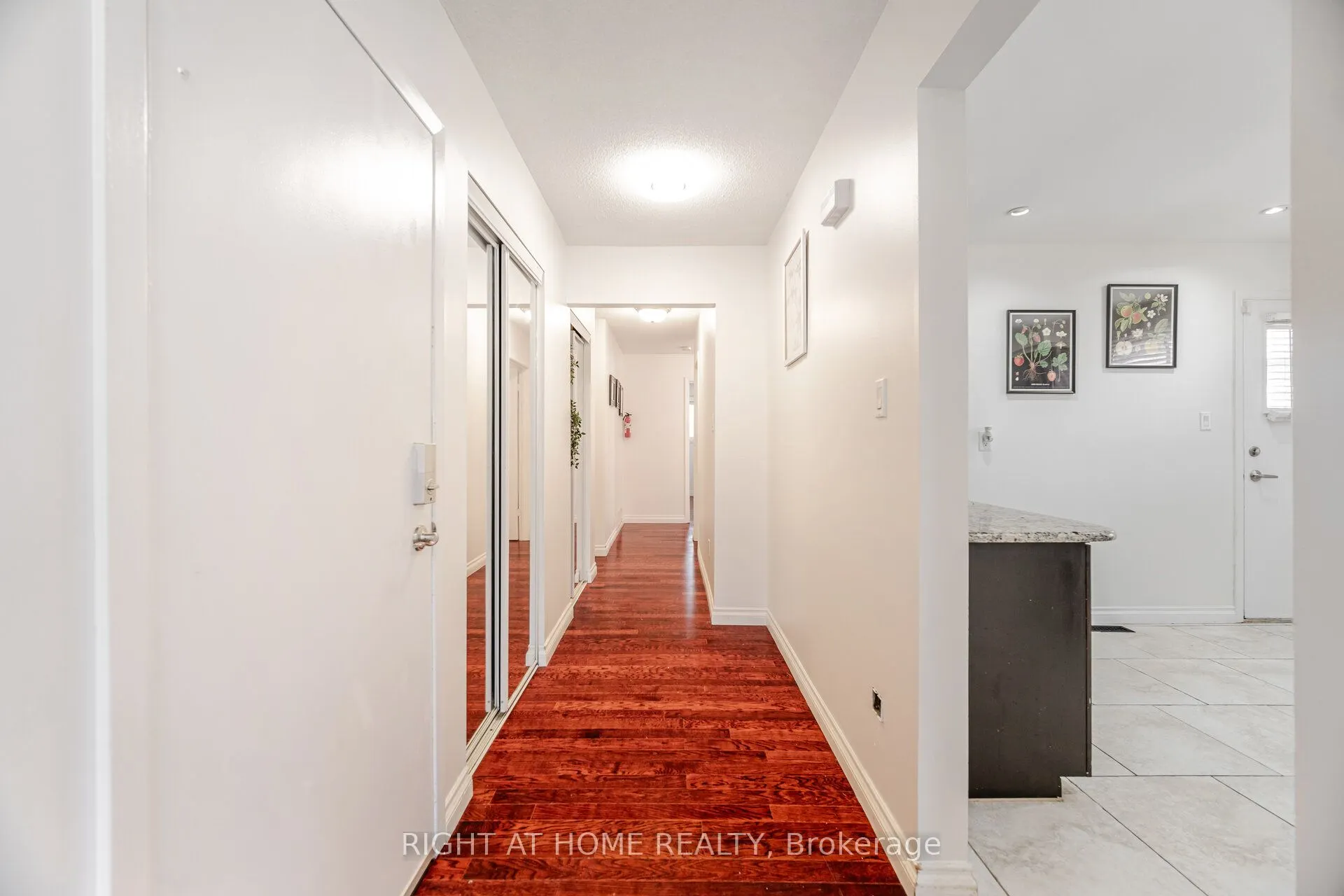 3241 Mccarthy Court