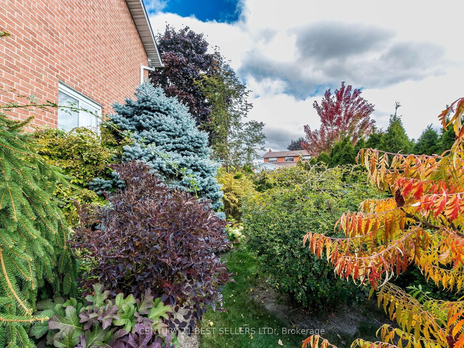 4172 Rayfield Court
