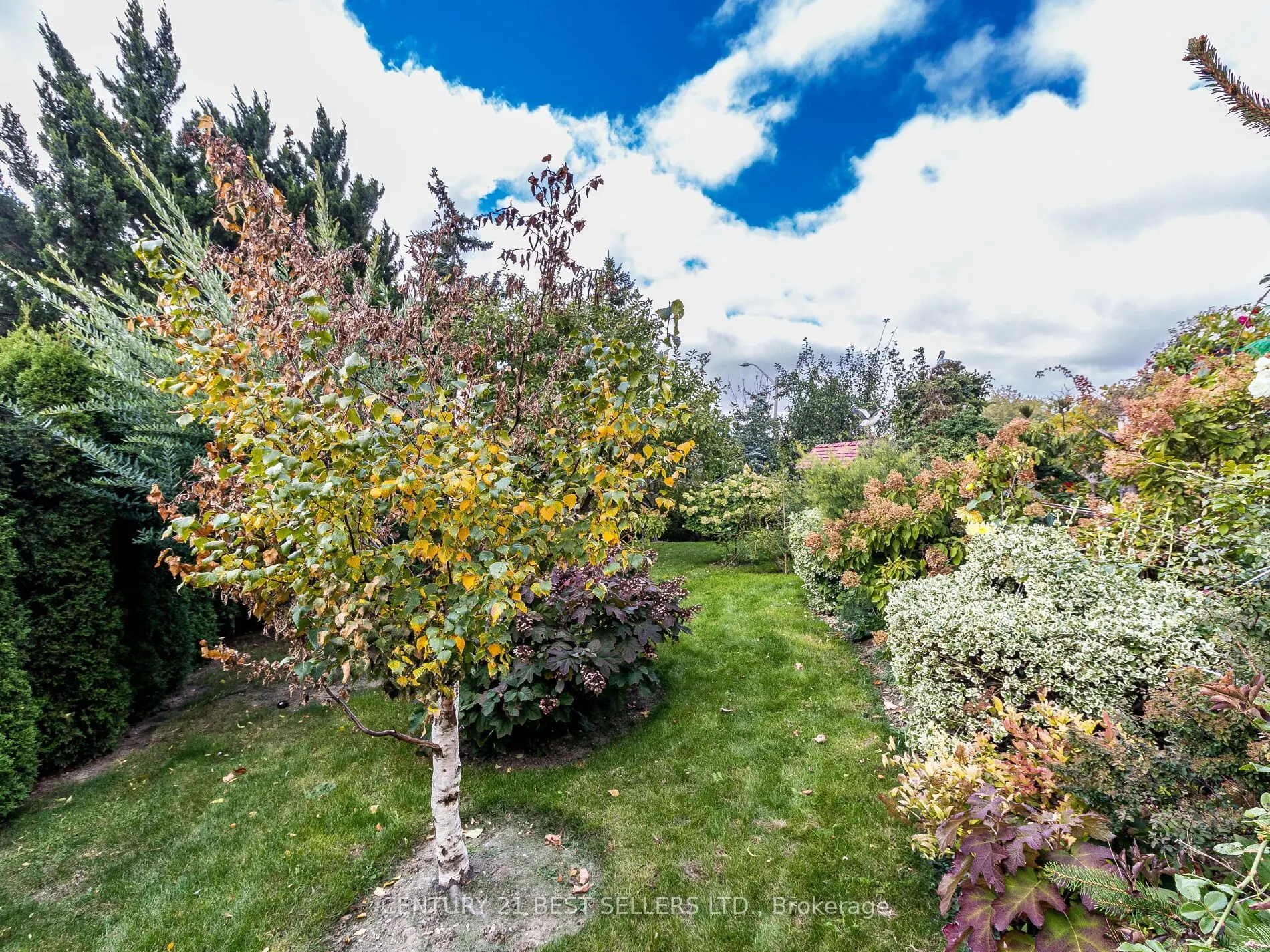 4172 Rayfield Court