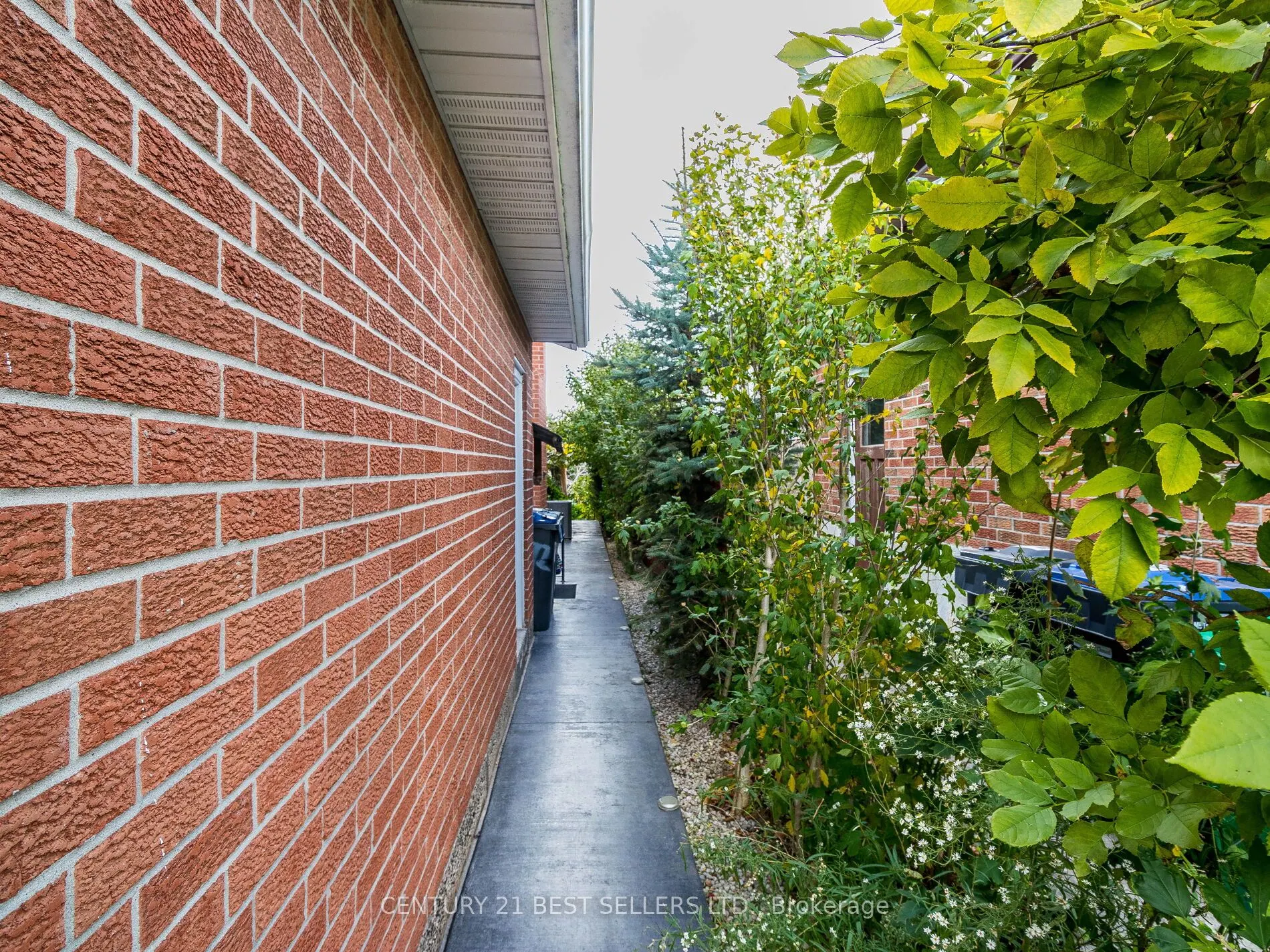 4172 Rayfield Court