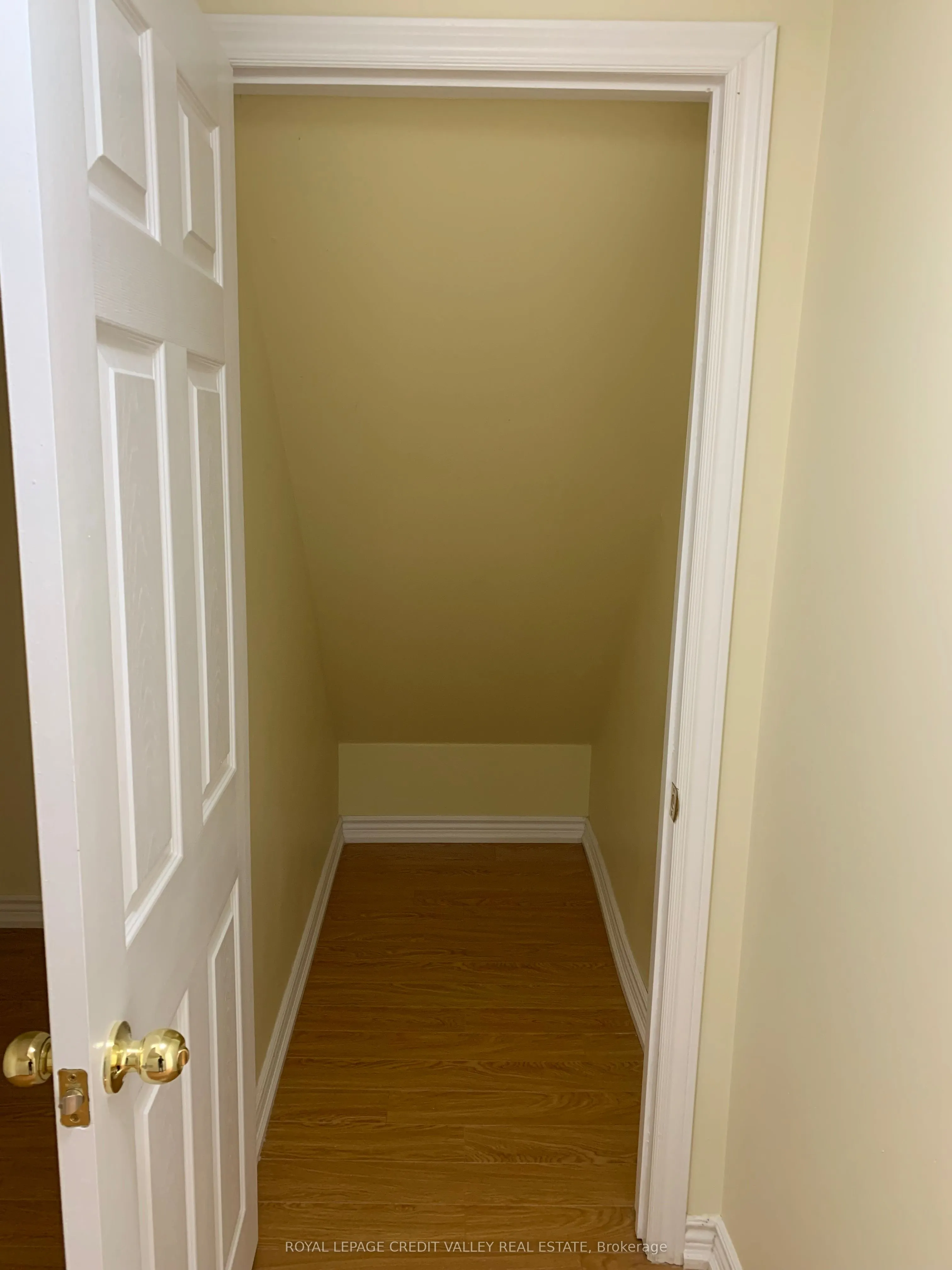 17 Patience Drive